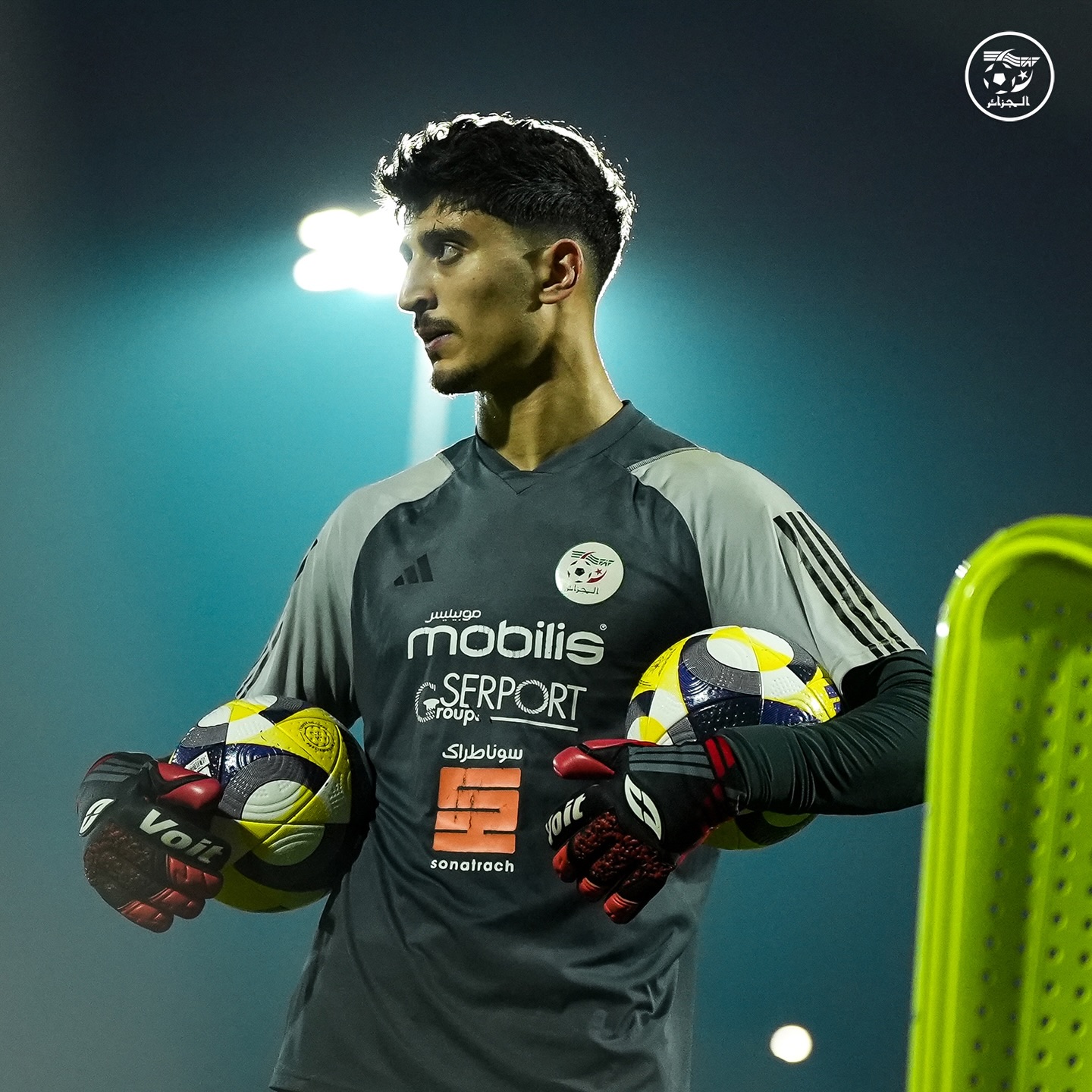 589907320 18159171151398019 8361272006537256101 n