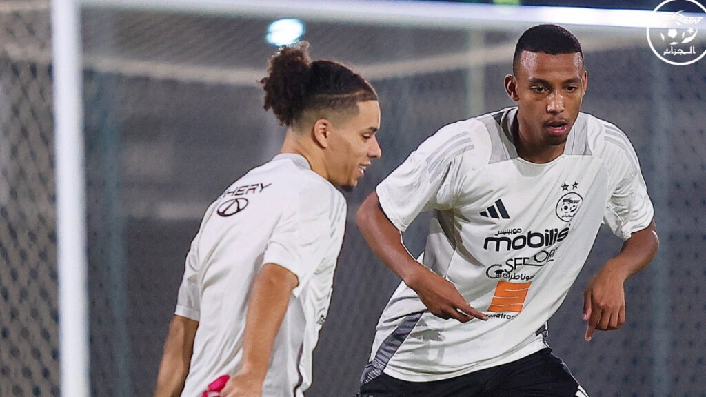 Équipe nationale / Amicaux de novembre : Nouveau coup dur pour les Verts