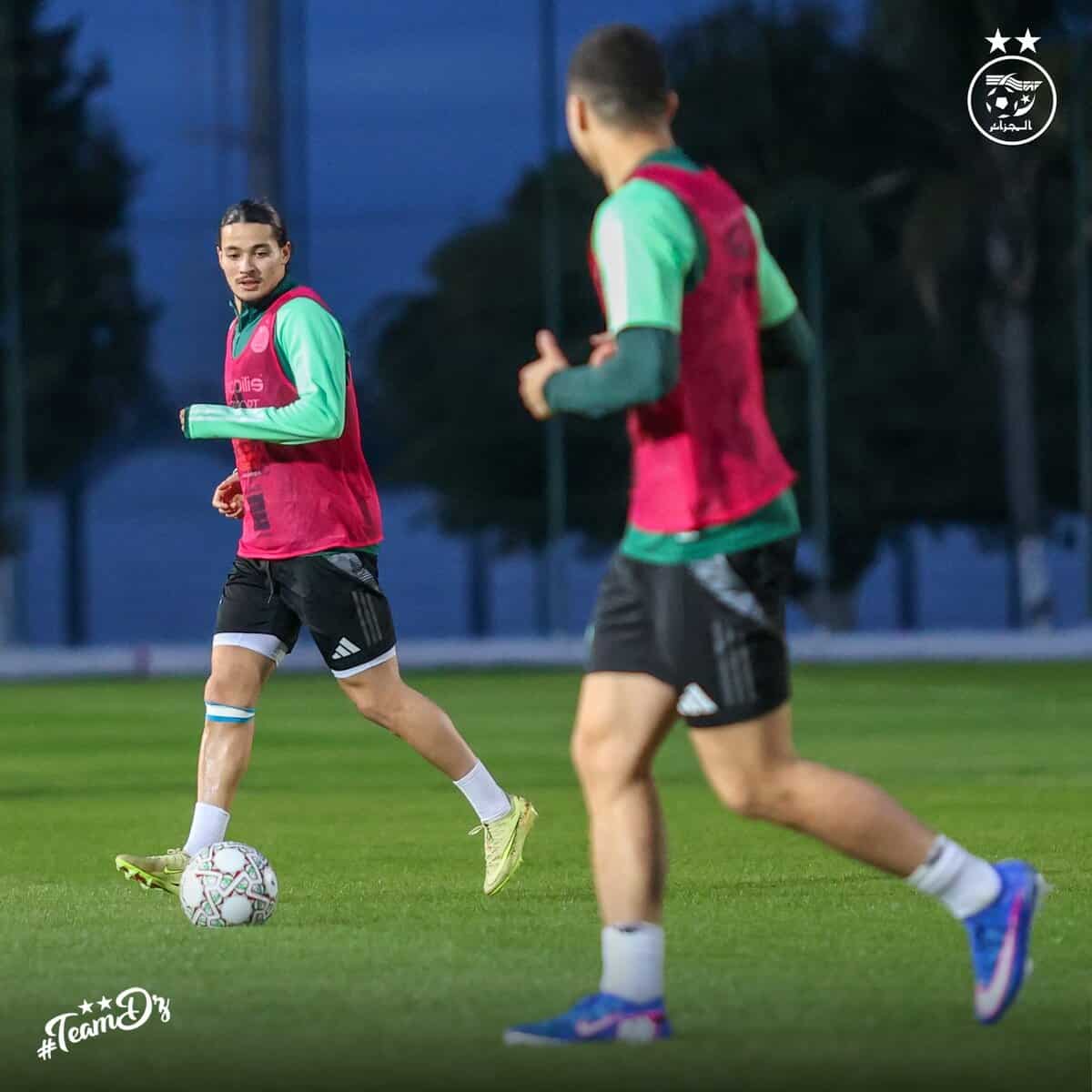 586688408 18160642573398019 8735738155424543231 n