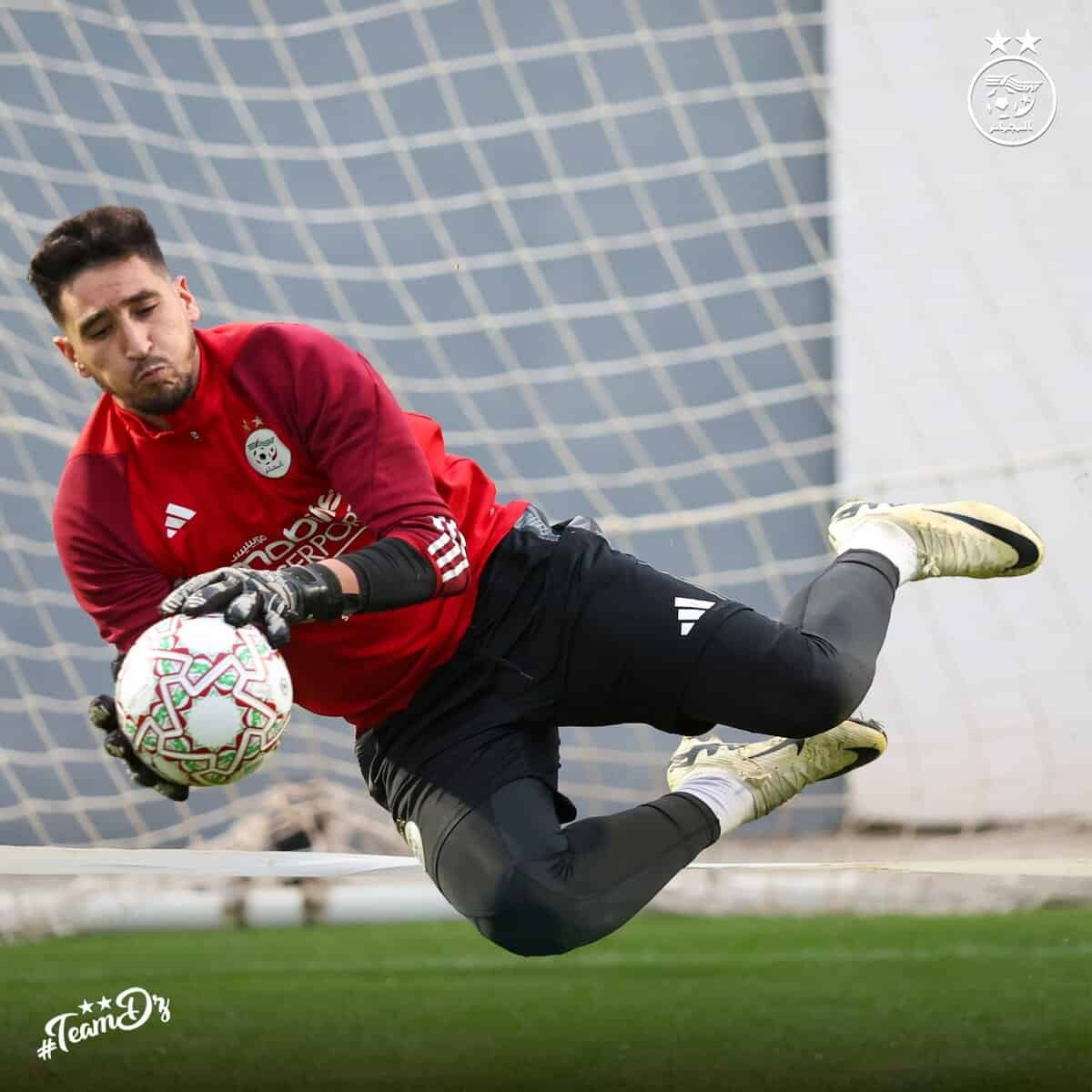 586697141 18160642537398019 6134149086618939317 n