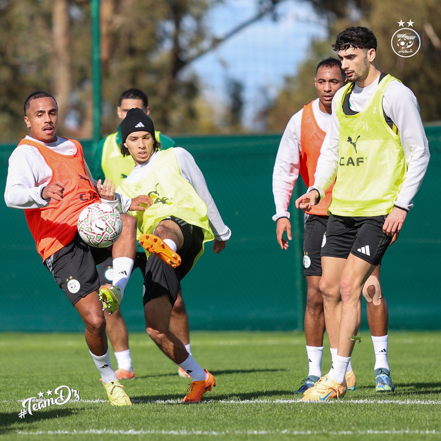 587006288 18161438647398019 885589913758188414 n