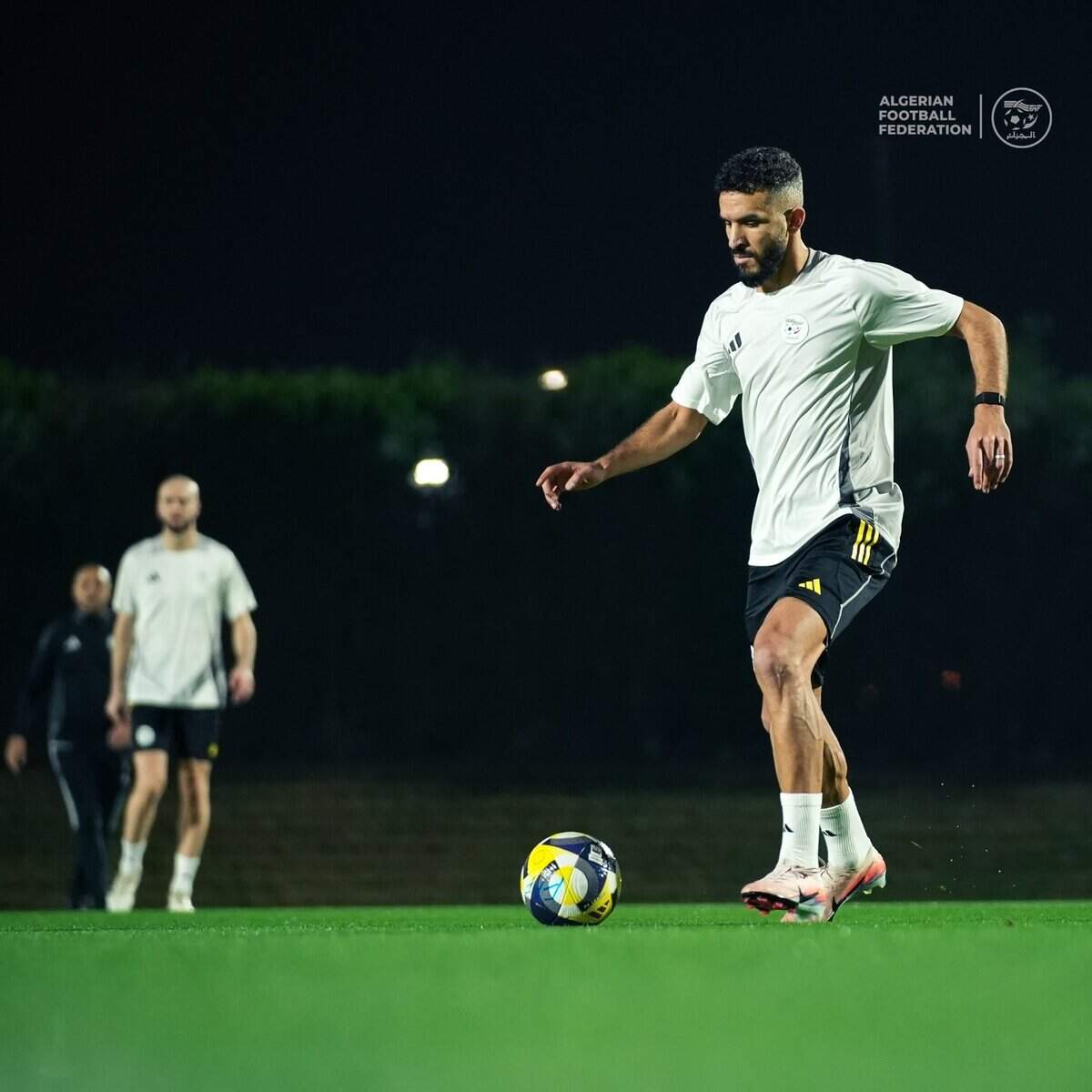 587290356 18160187209398019 5448546549202433365 n