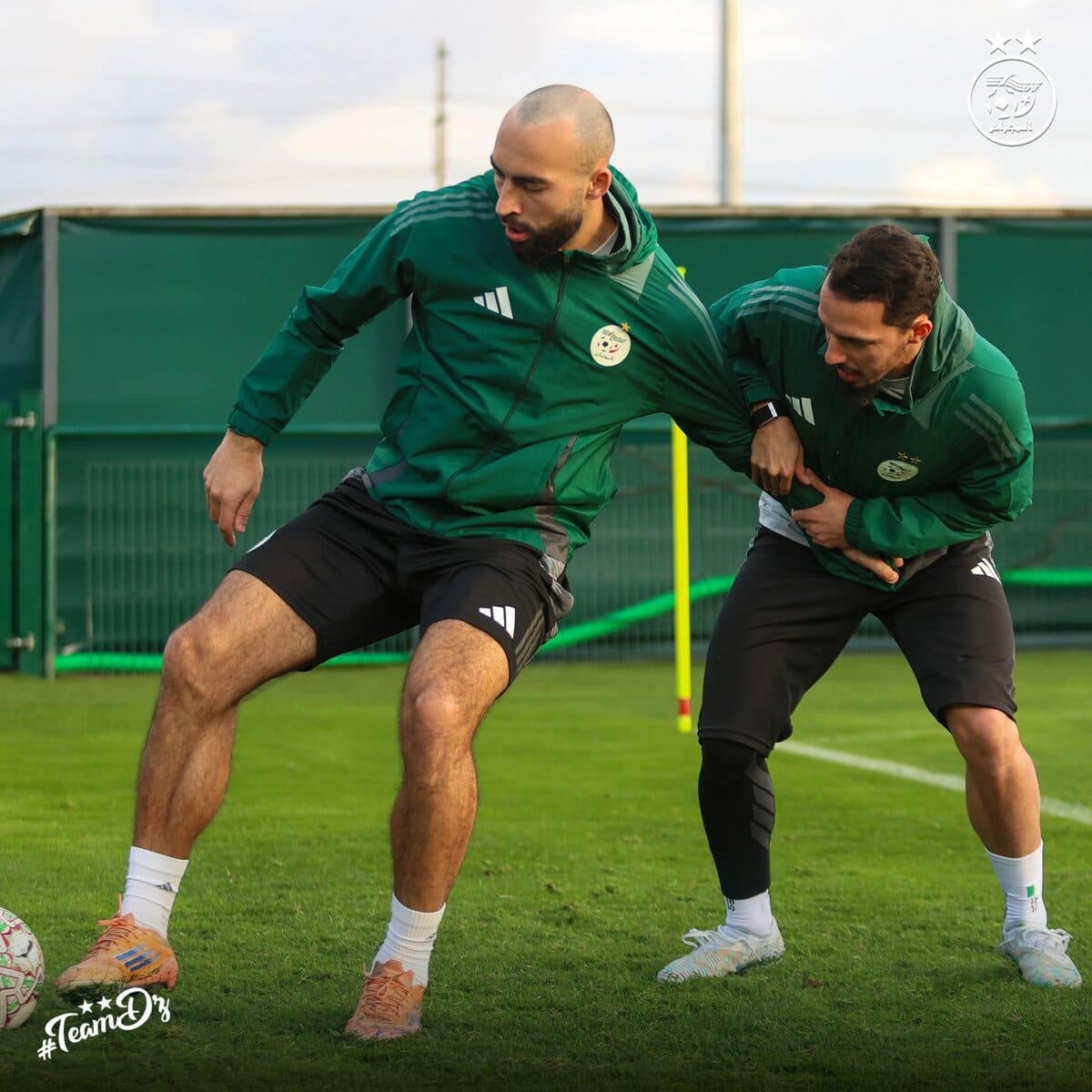 587794795 18161085676398019 2767591926774051959 n