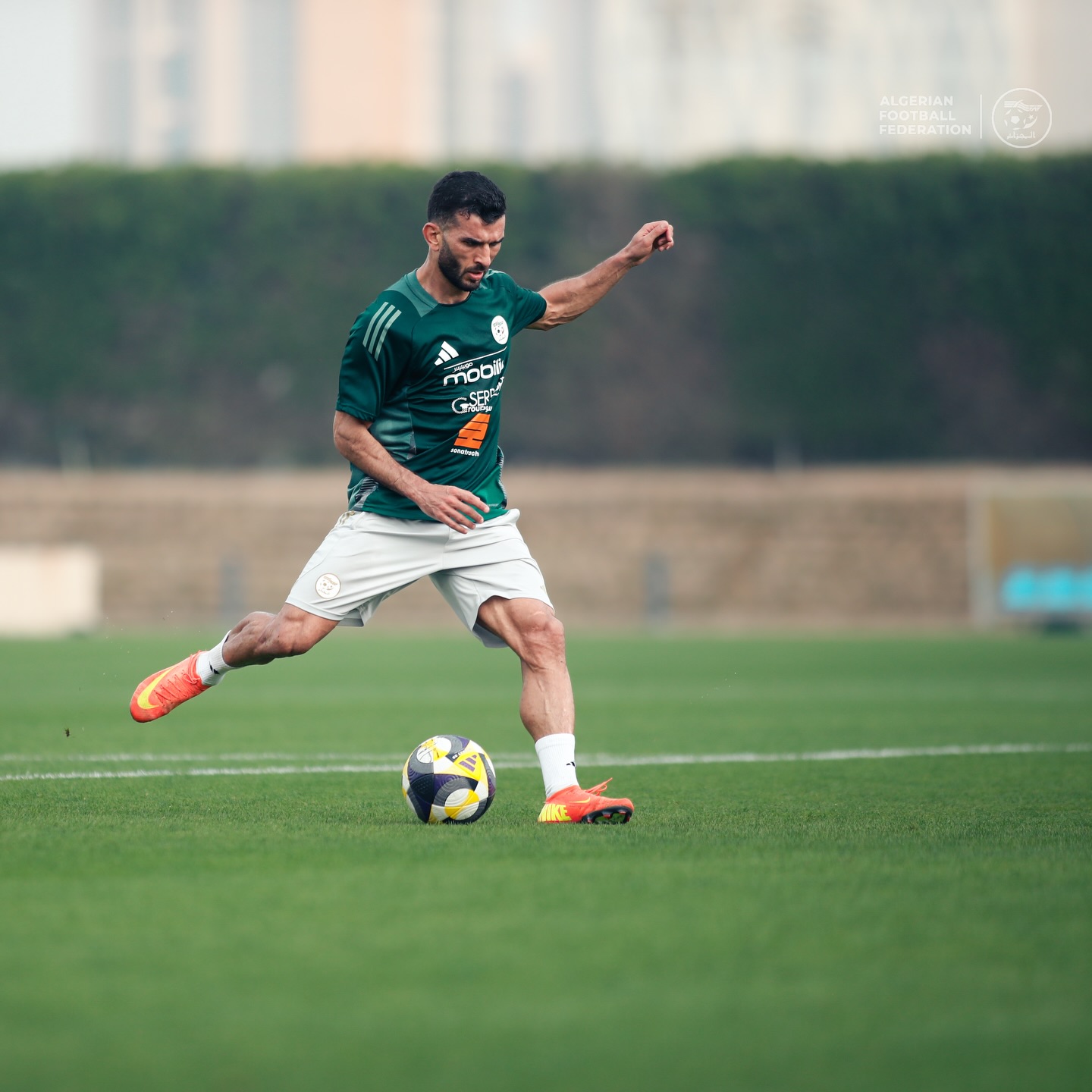 588428203 18159516427398019 4252126293627423595 n