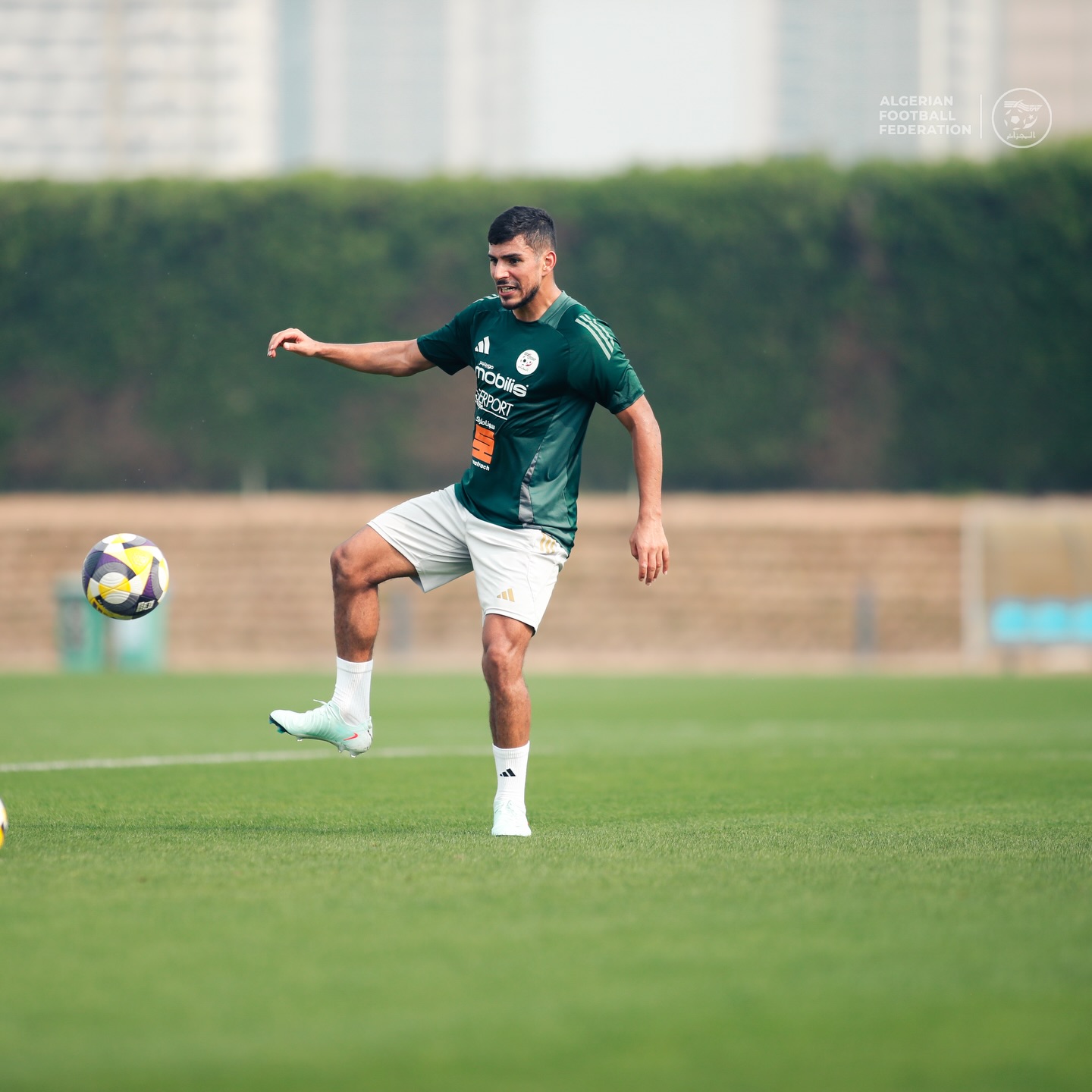 588648878 18159516514398019 538981492207857307 n