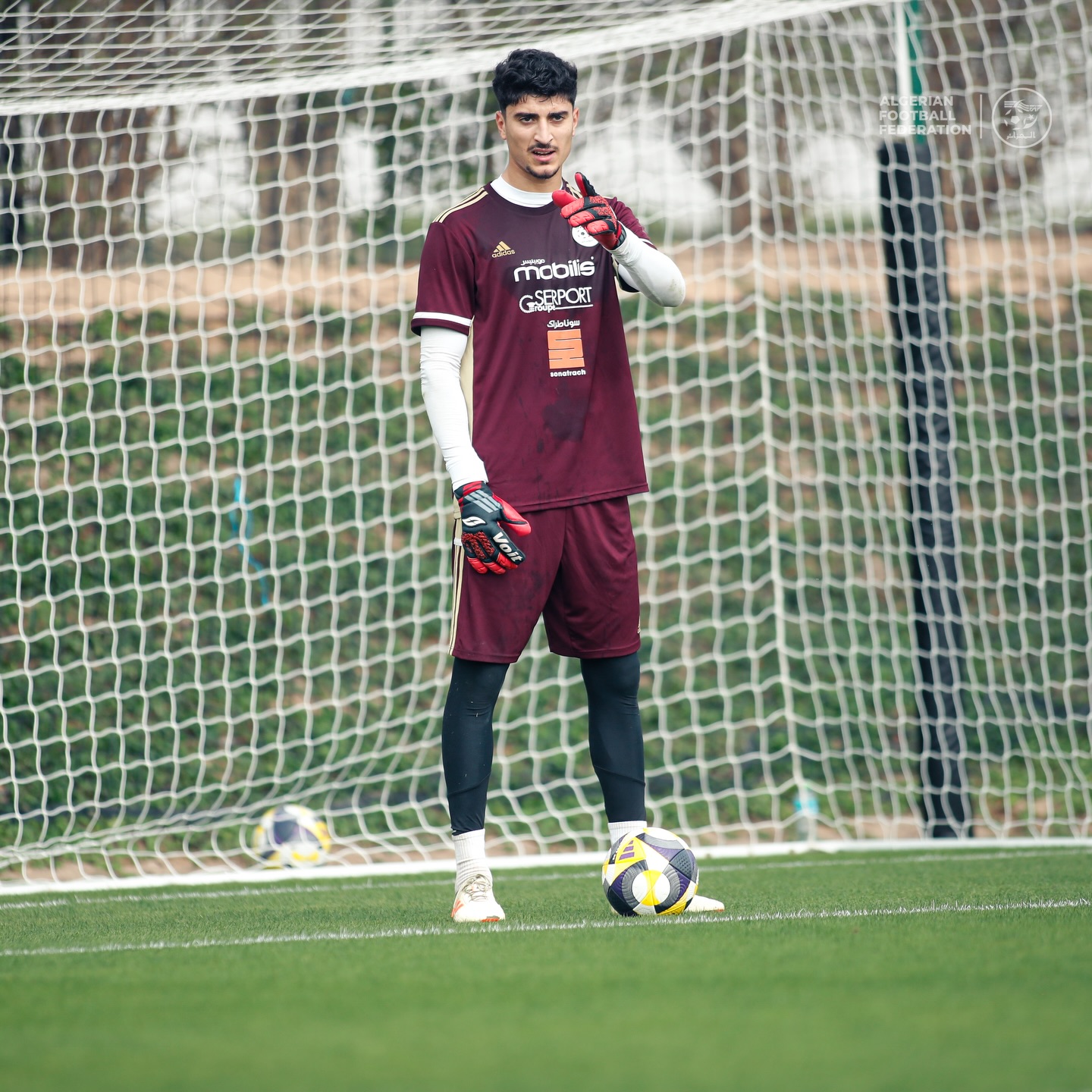 588713482 18159516454398019 9131347236597536133 n