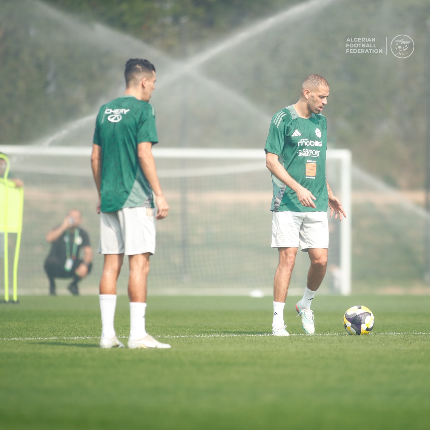 589122573 18159516466398019 7636975320320696131 n