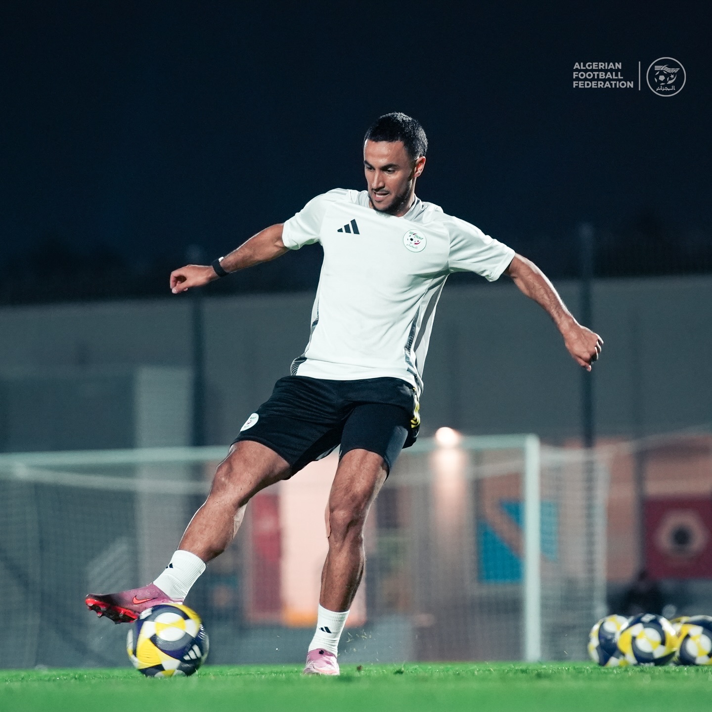 589138782 18159641161398019 833900063230718095 n