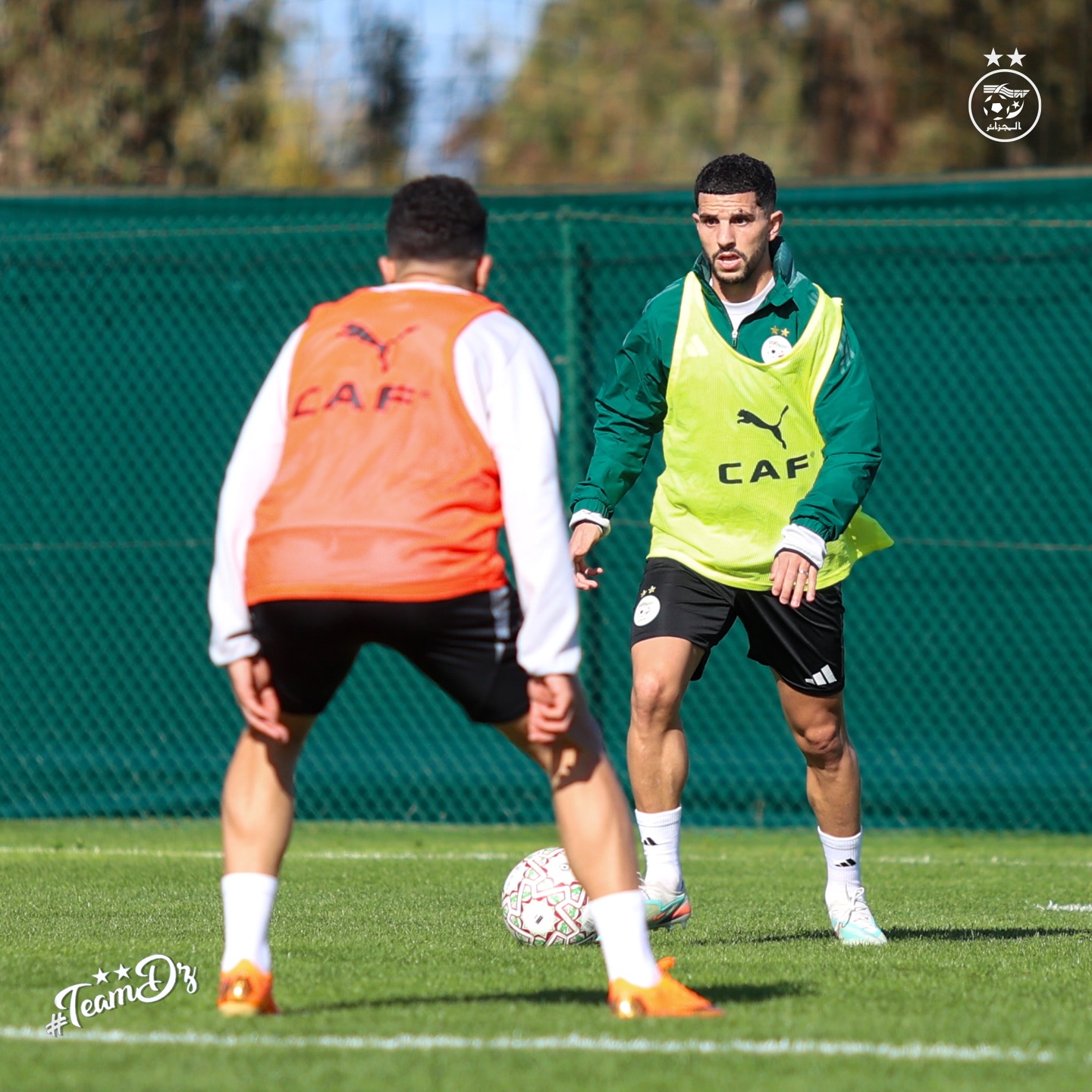 589841629 18161438674398019 6499944731321385607 n