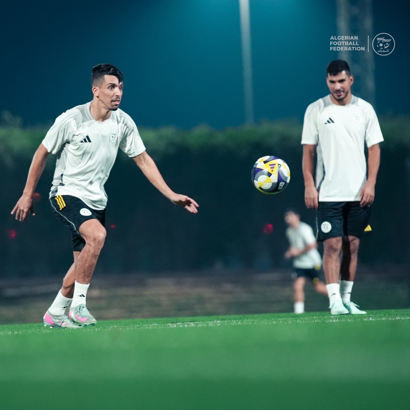 589841745 18159641170398019 1056786033714182708 n