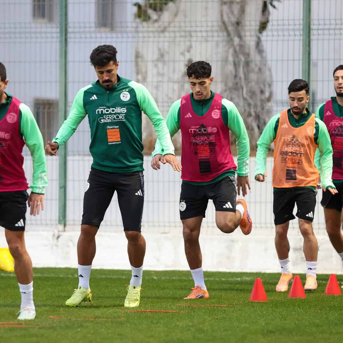 589902059 18160642435398019 1929132451160796922 n