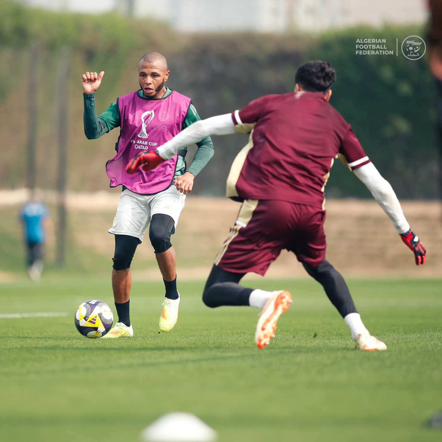 589902064 18159516436398019 5856249336472660600 n