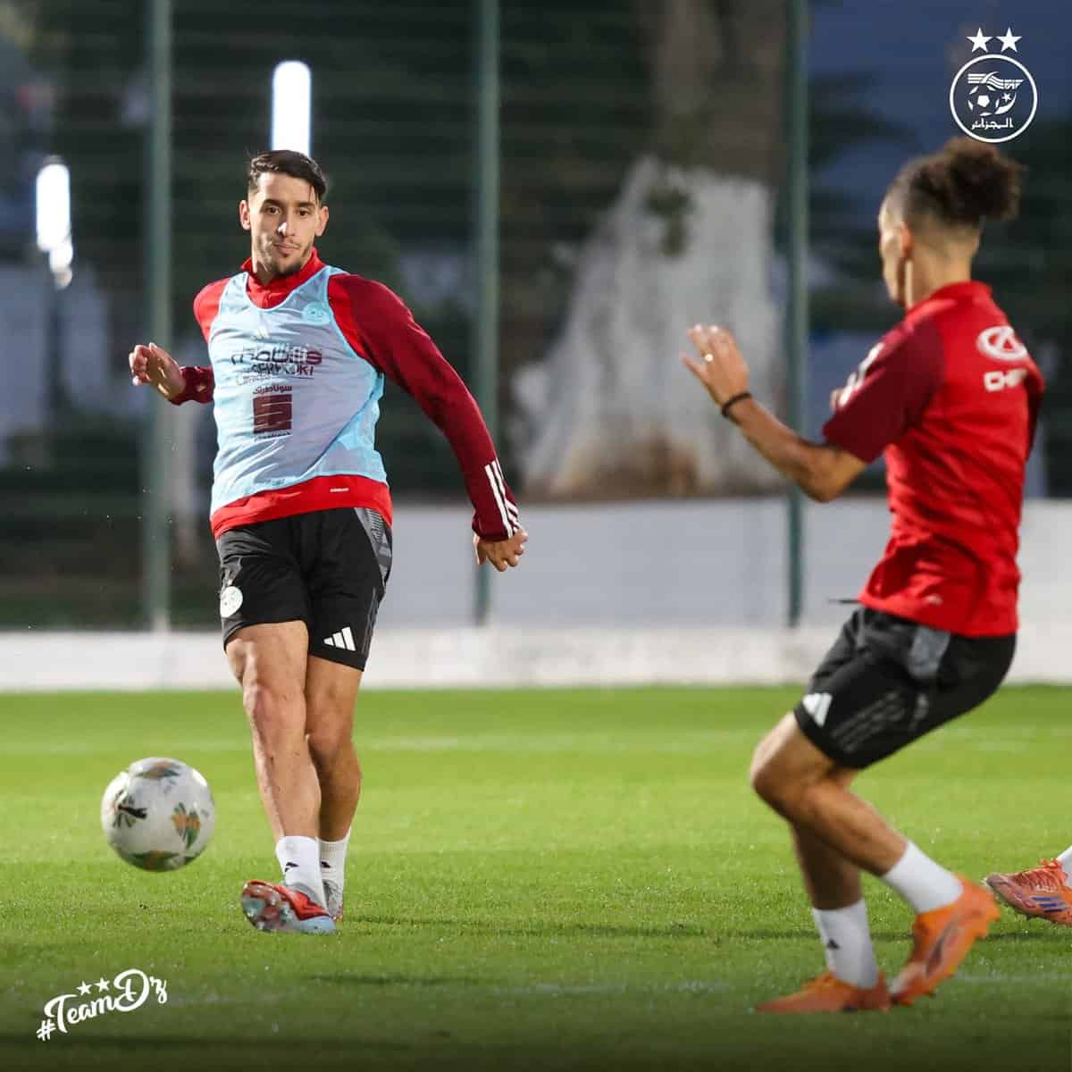 589903732 18160558141398019 6393619466126363707 n