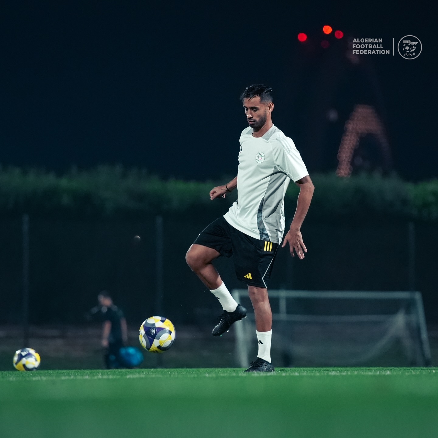 589906361 18159641206398019 5596429353975053857 n