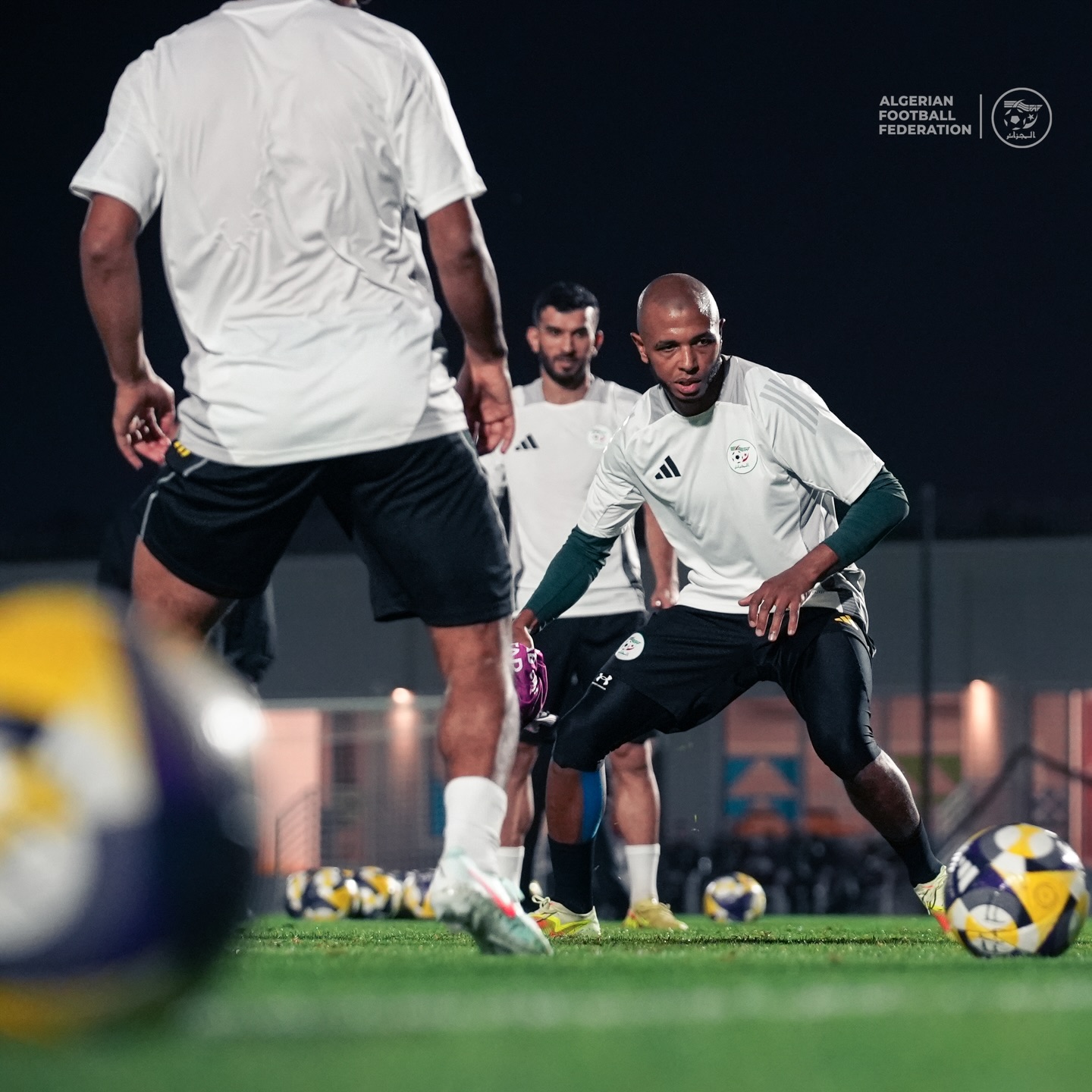 589918247 18159641179398019 7046525576761274599 n