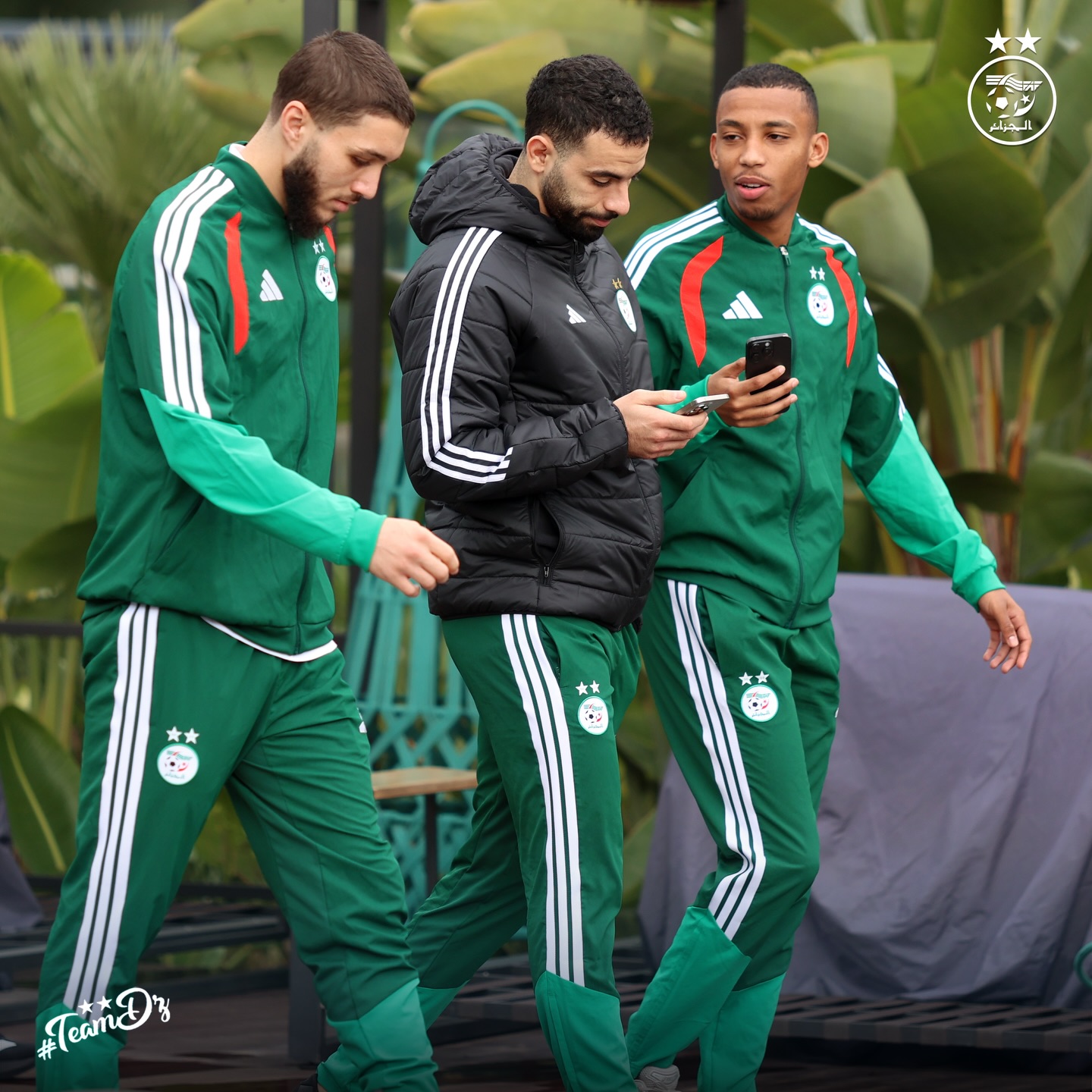 589931786 18161693959398019 1338592937526882609 n