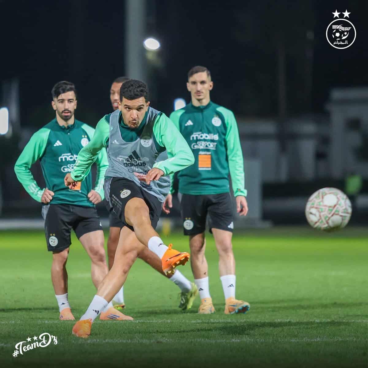 589936608 18160642474398019 7878652492472854320 n