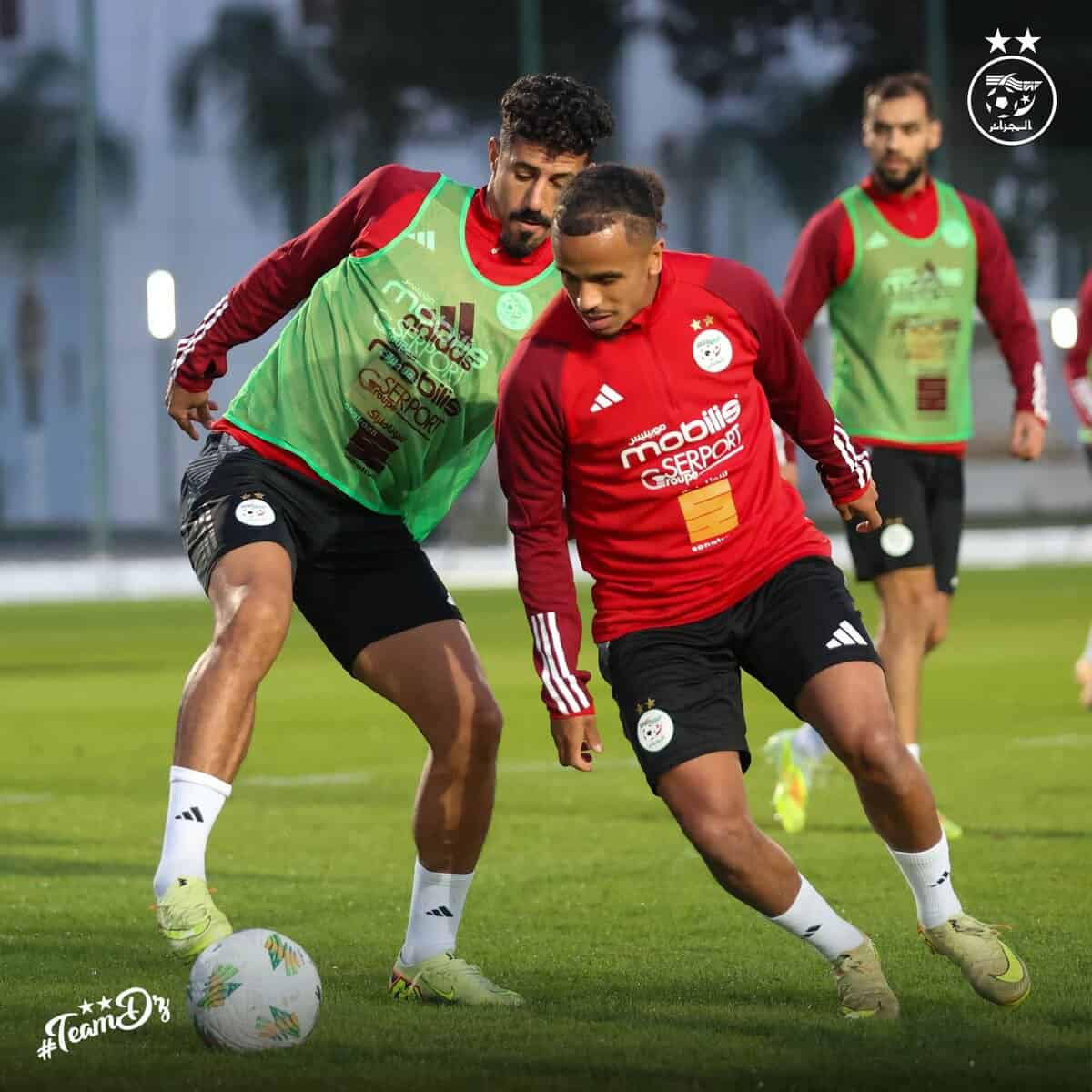 591138958 18160558159398019 2771317582466509681 n