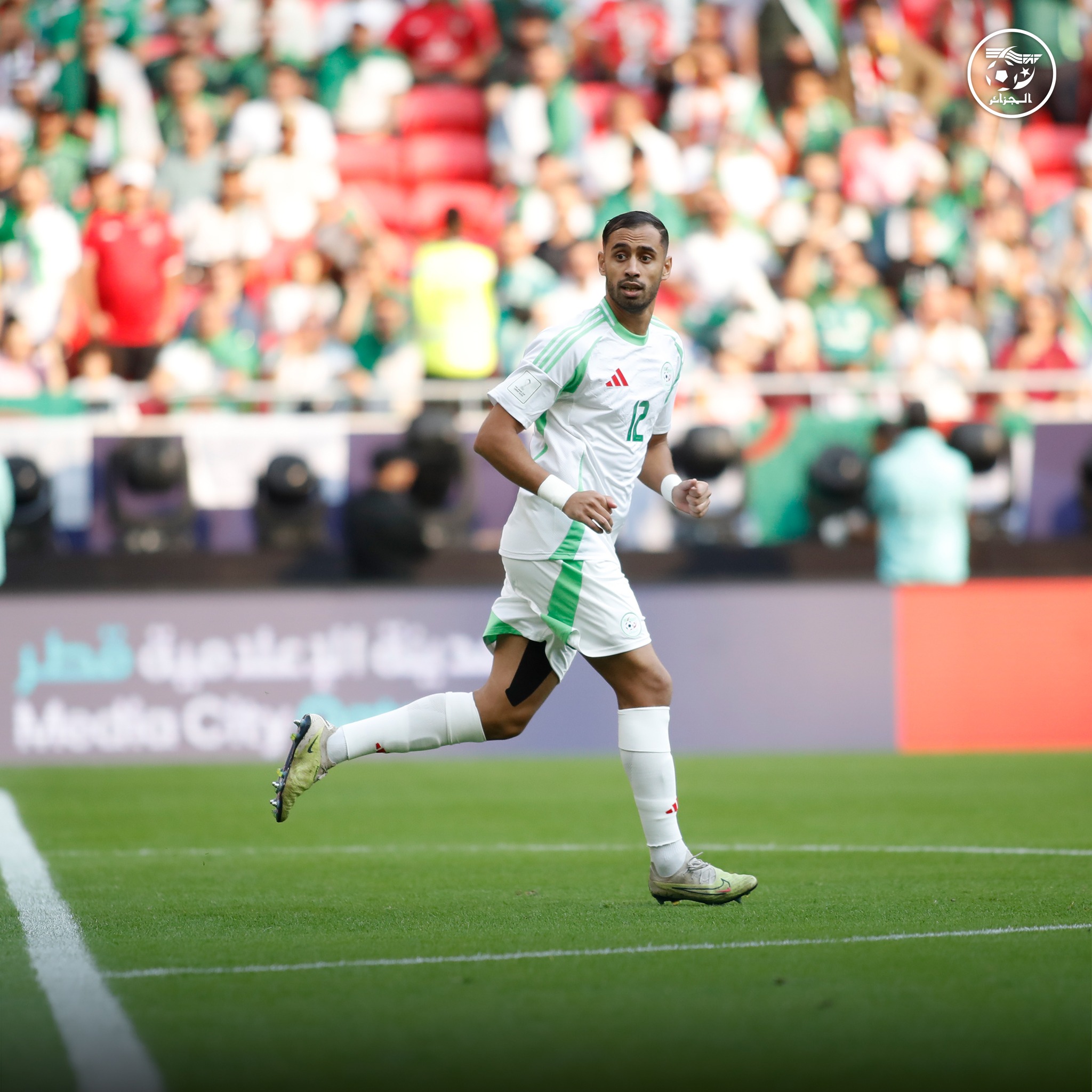 591740482 122179087886484363 1528271374665201776 n