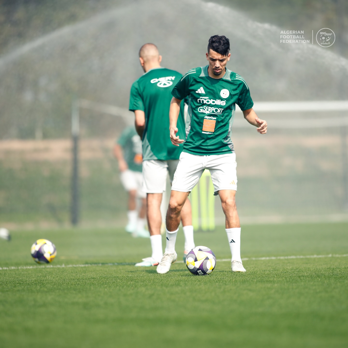 591763981 18159516496398019 790516500907255865 n