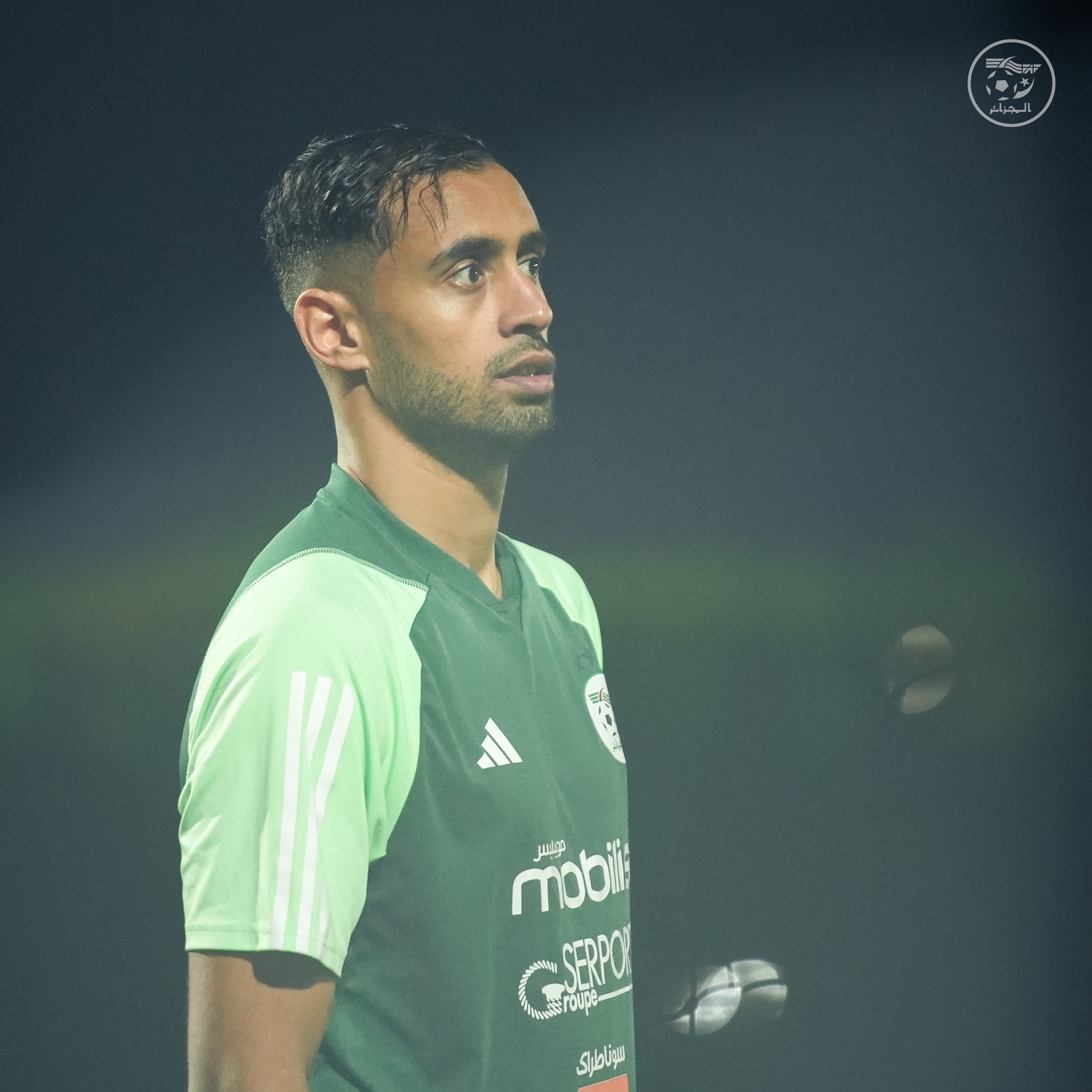 593553449 122178887906484363 8340023515450089290 n