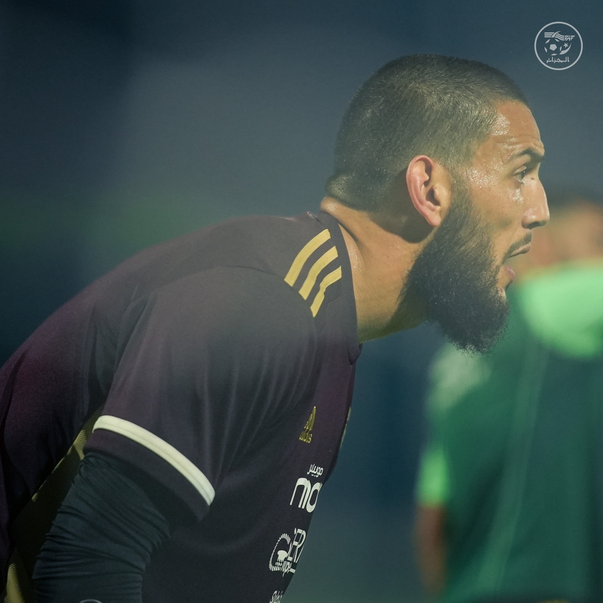 593583148 122178887774484363 5974660340603553706 n