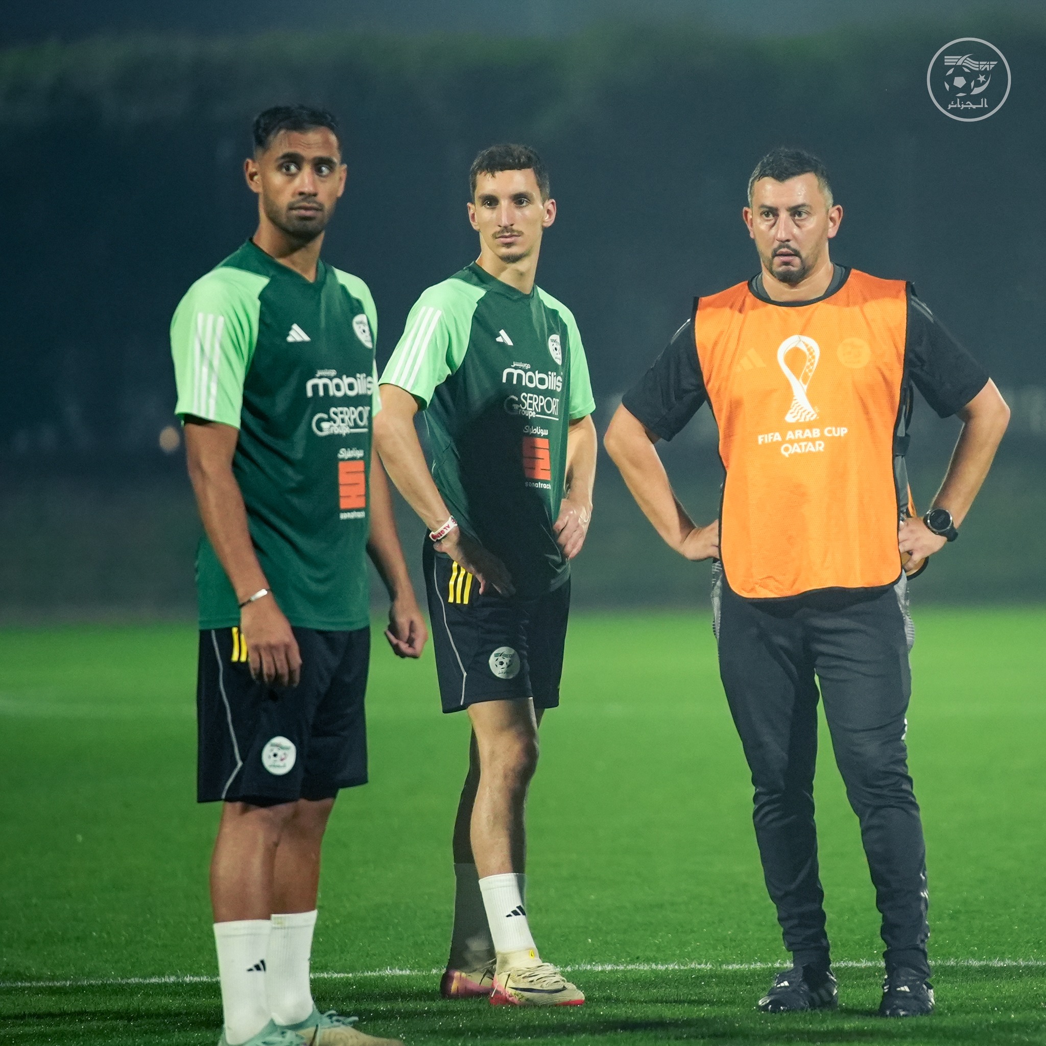 593583593 122178887852484363 4652397440417379310 n