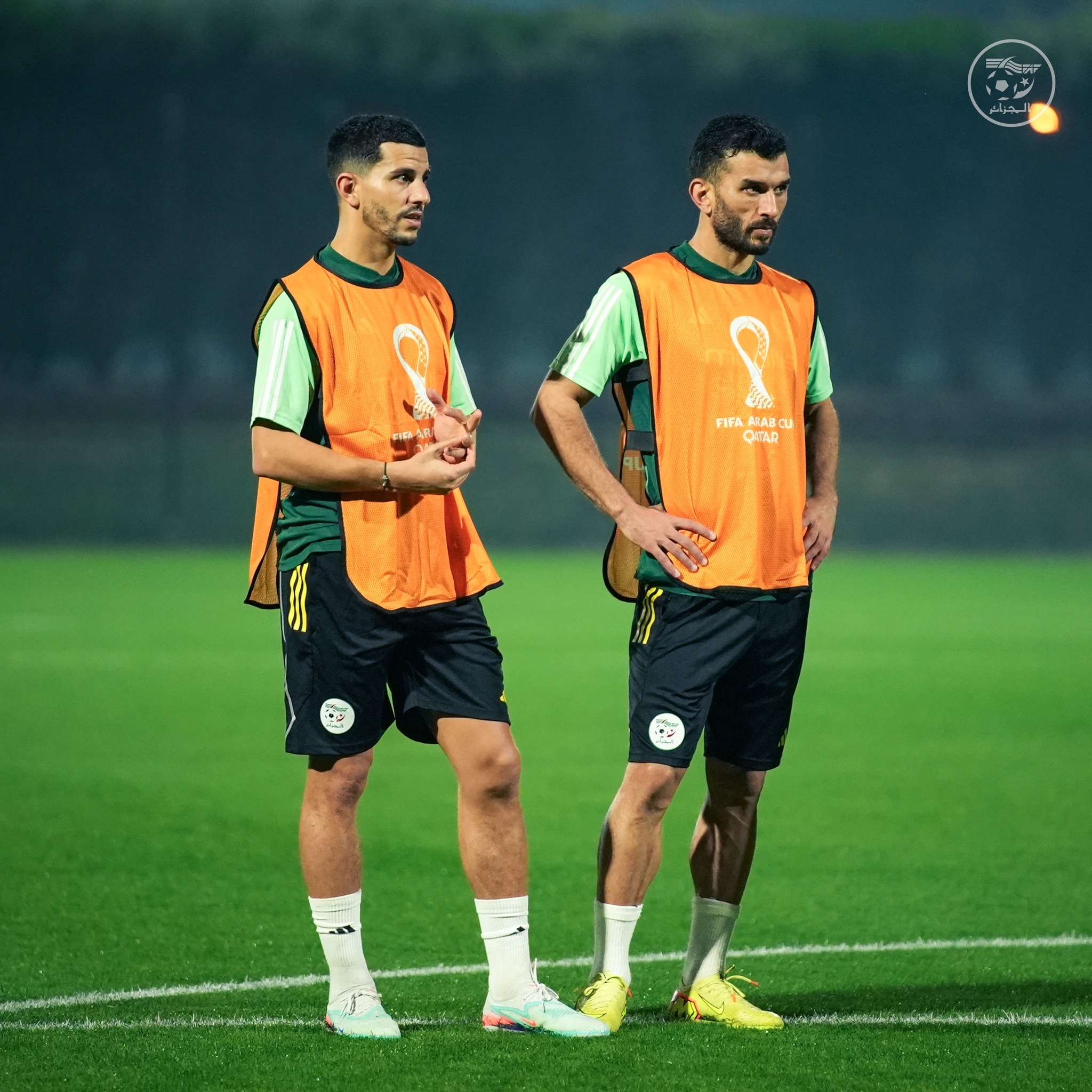 593700625 122178887870484363 2933065597700158011 n