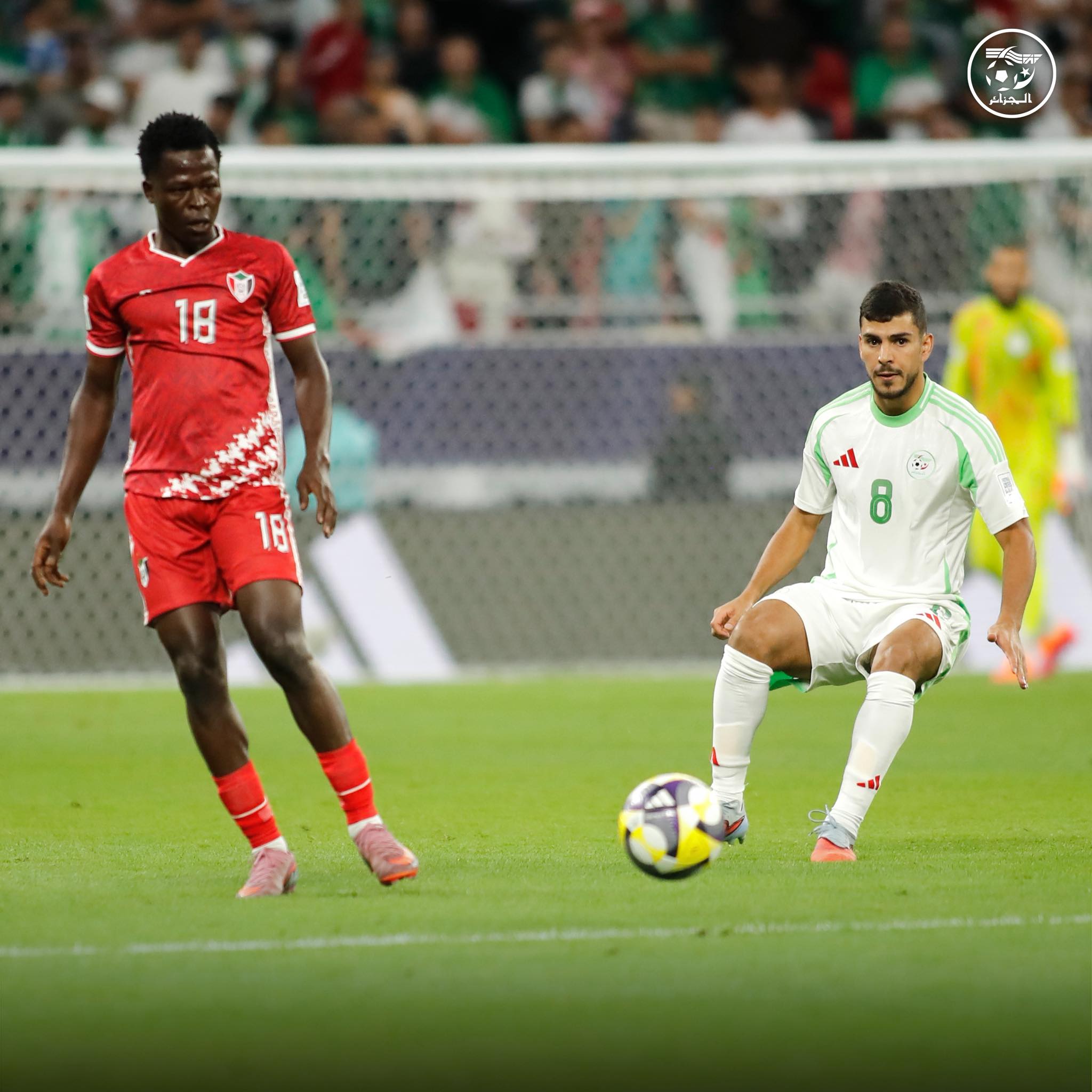 594500994 122179108802484363 6155805984766641700 n