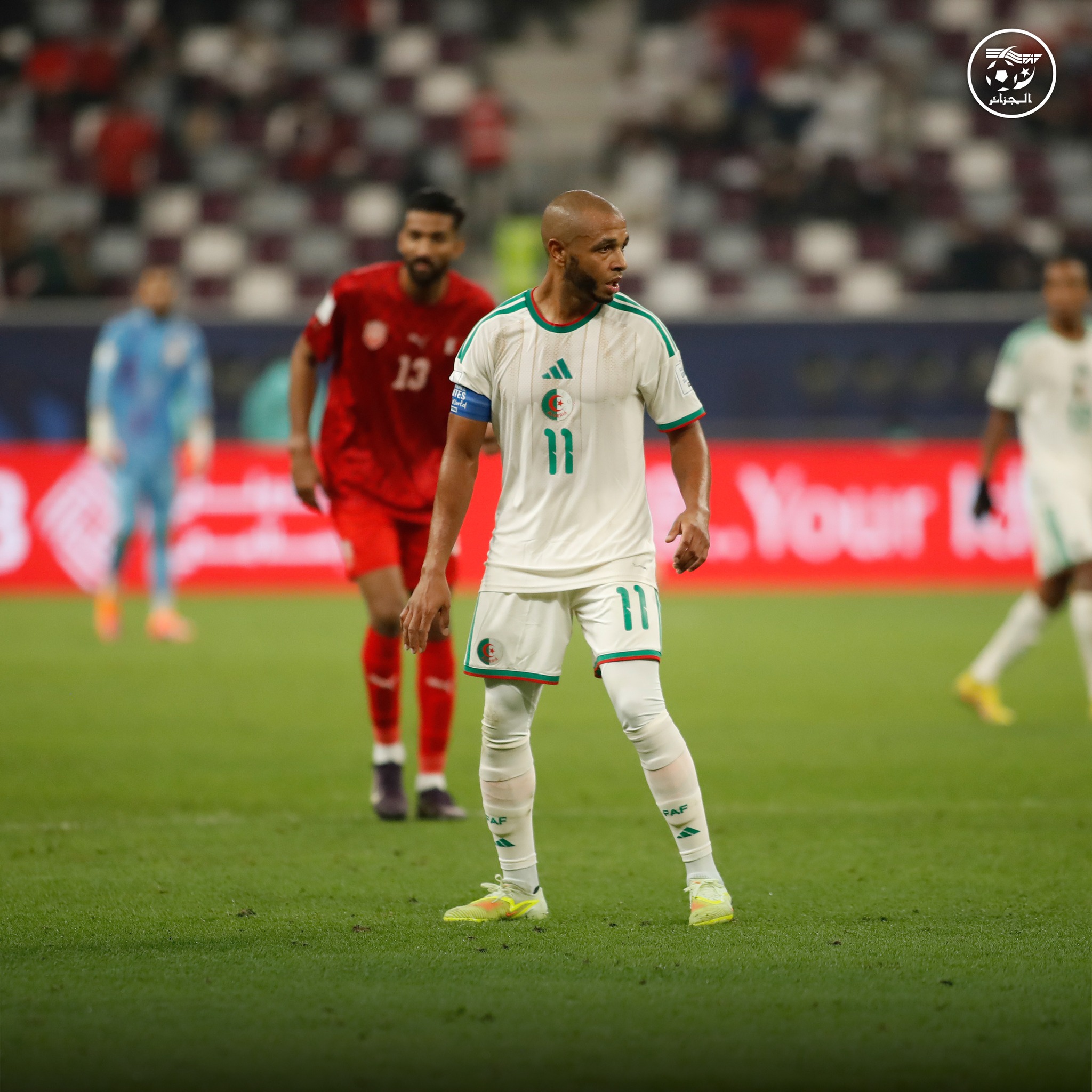 594542936 122179425146484363 4403818449984183903 n