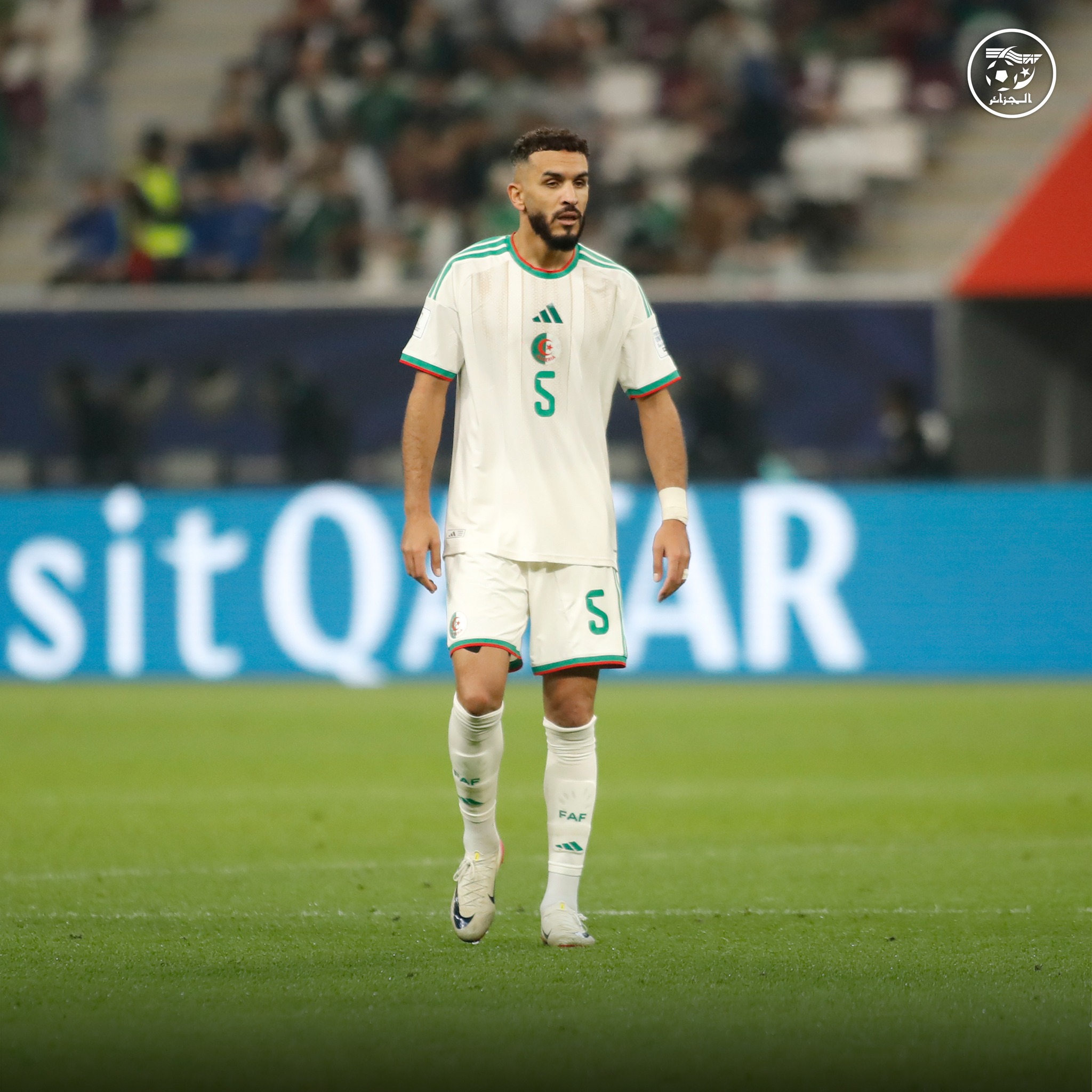 594547062 122179425416484363 8787910888509327787 n