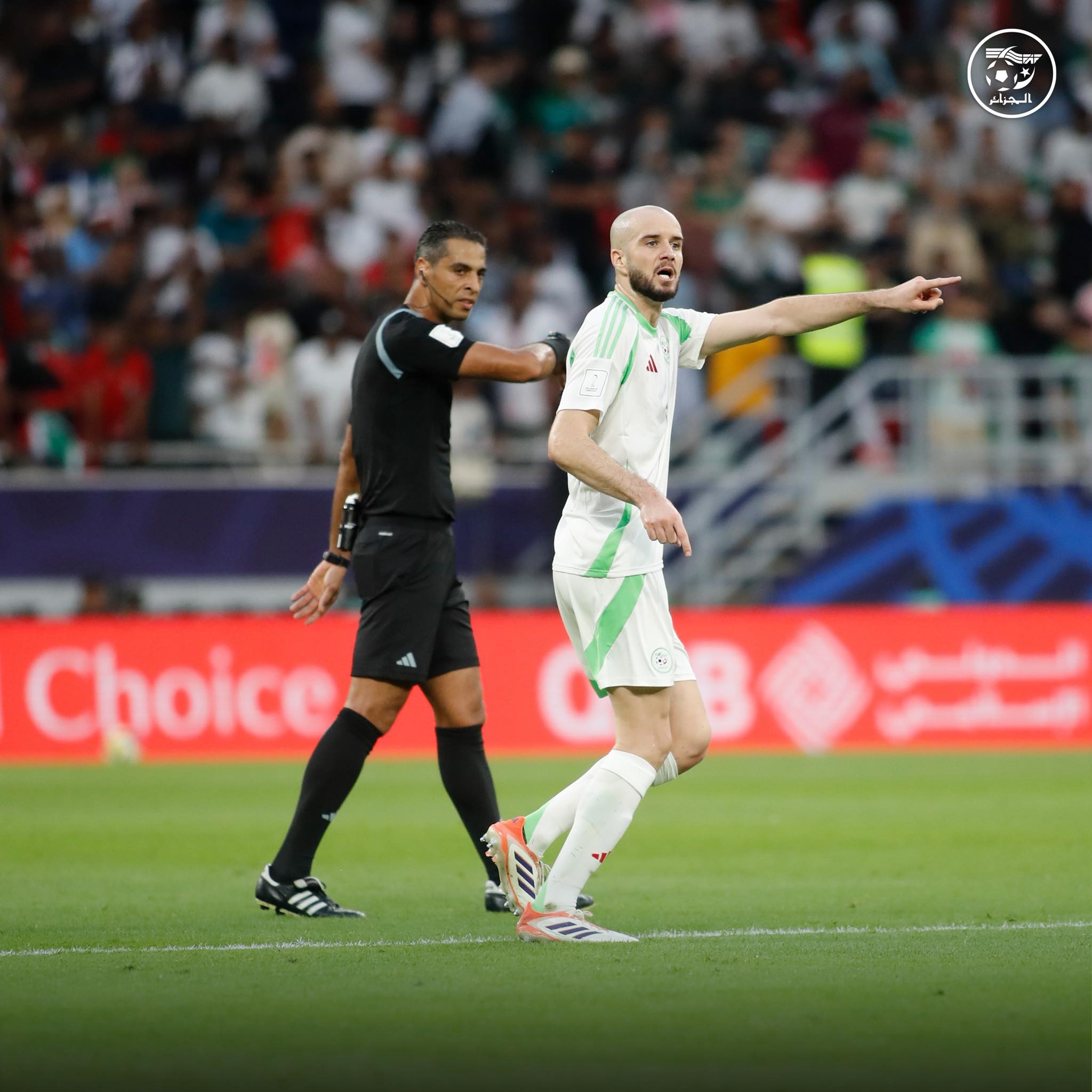 594599296 122179108736484363 3022137663755273673 n