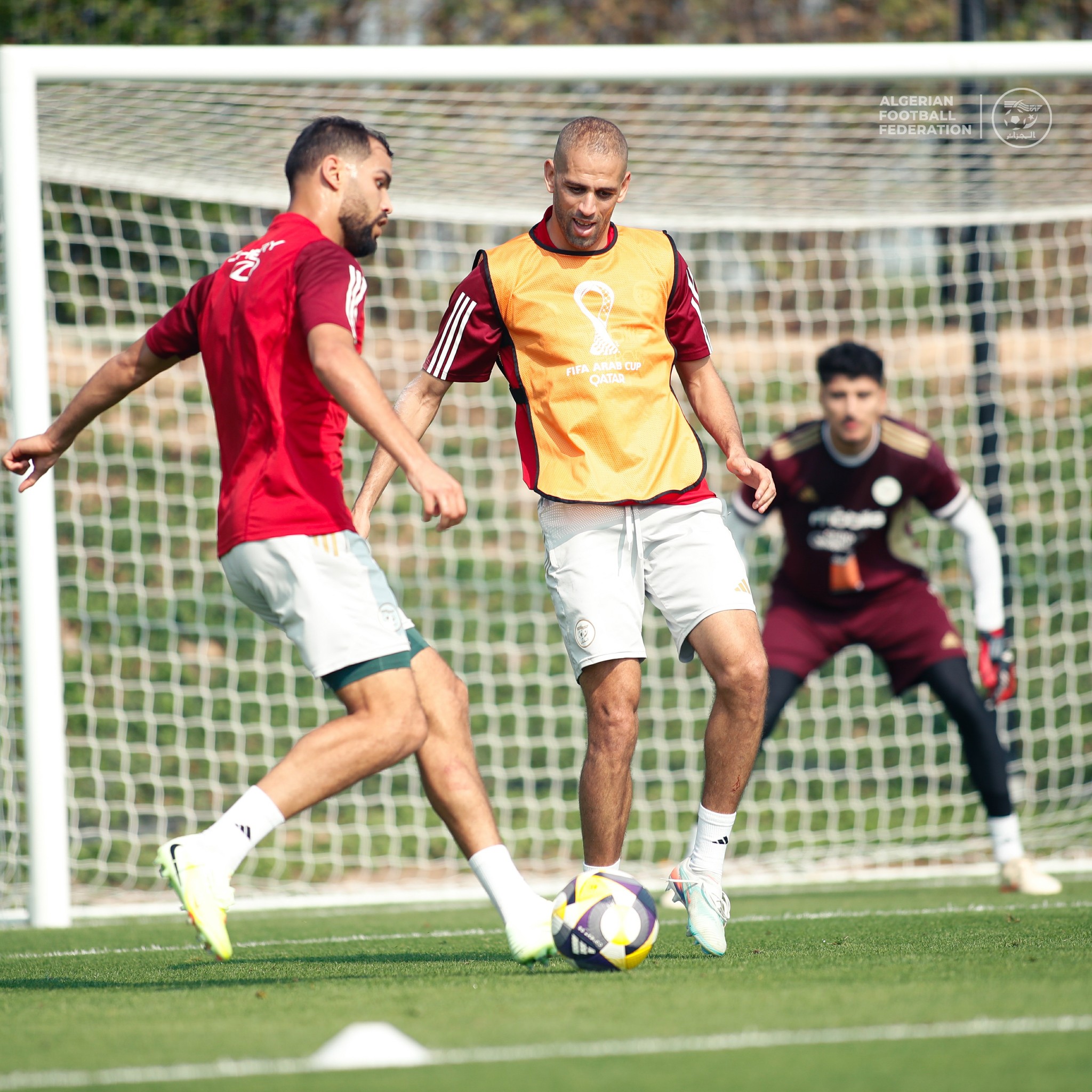 594834046 122179526522484363 6337527863385168865 n