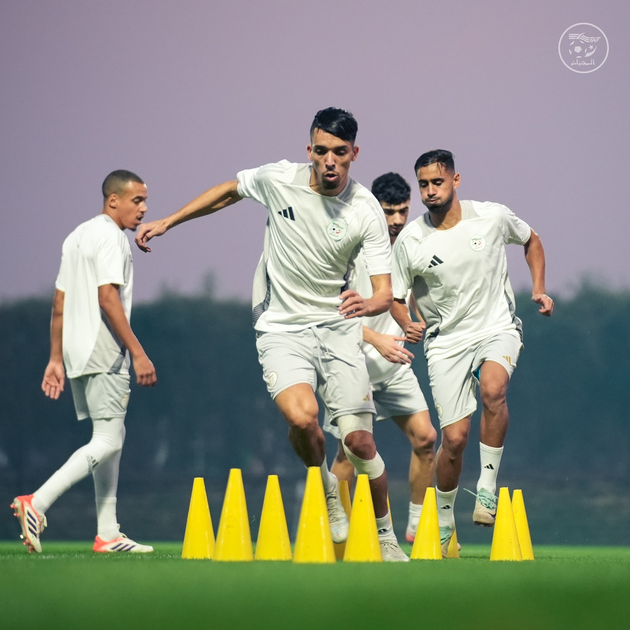 594884005 122179003268484363 1524631217233965012 n