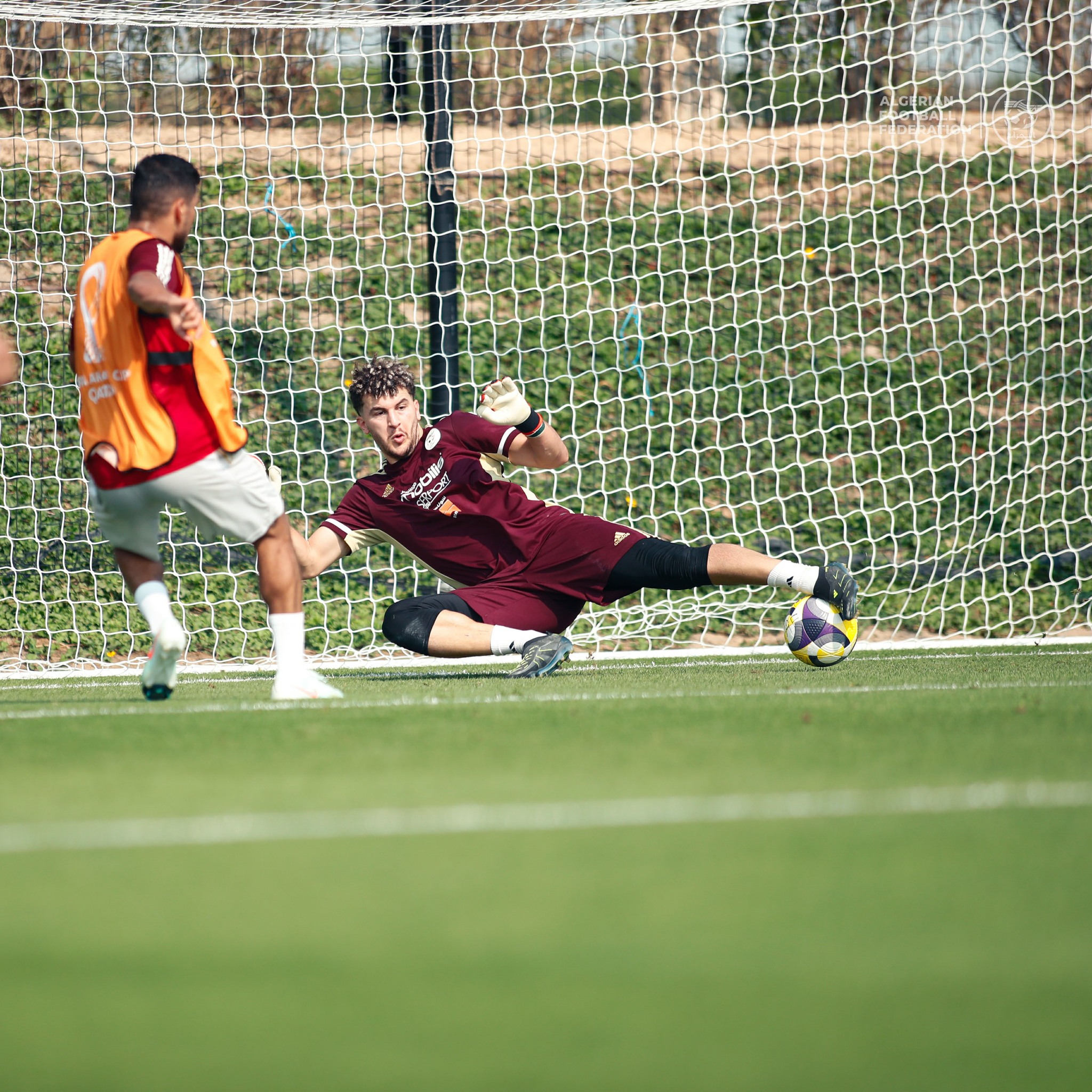 594979319 122179526546484363 2586352482712816825 n