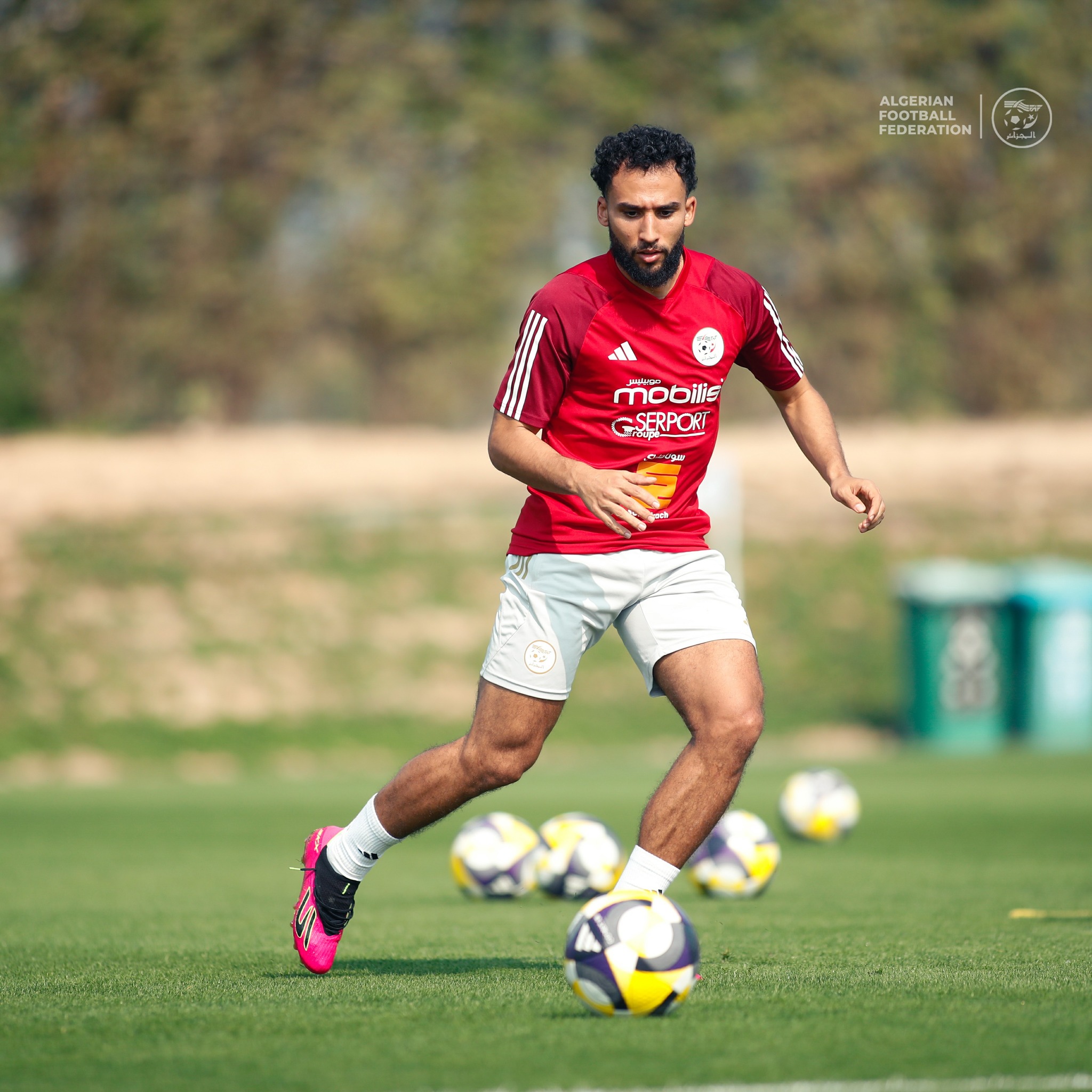 595053442 122179526528484363 8265106807318941115 n