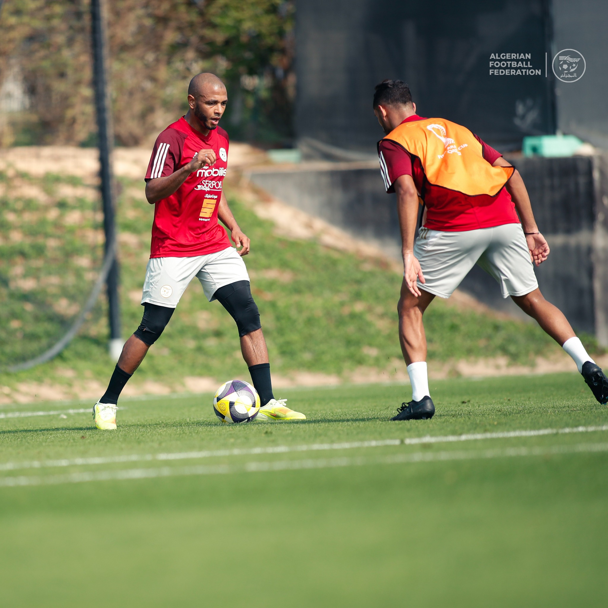 595124345 122179526516484363 2954519877169575423 n