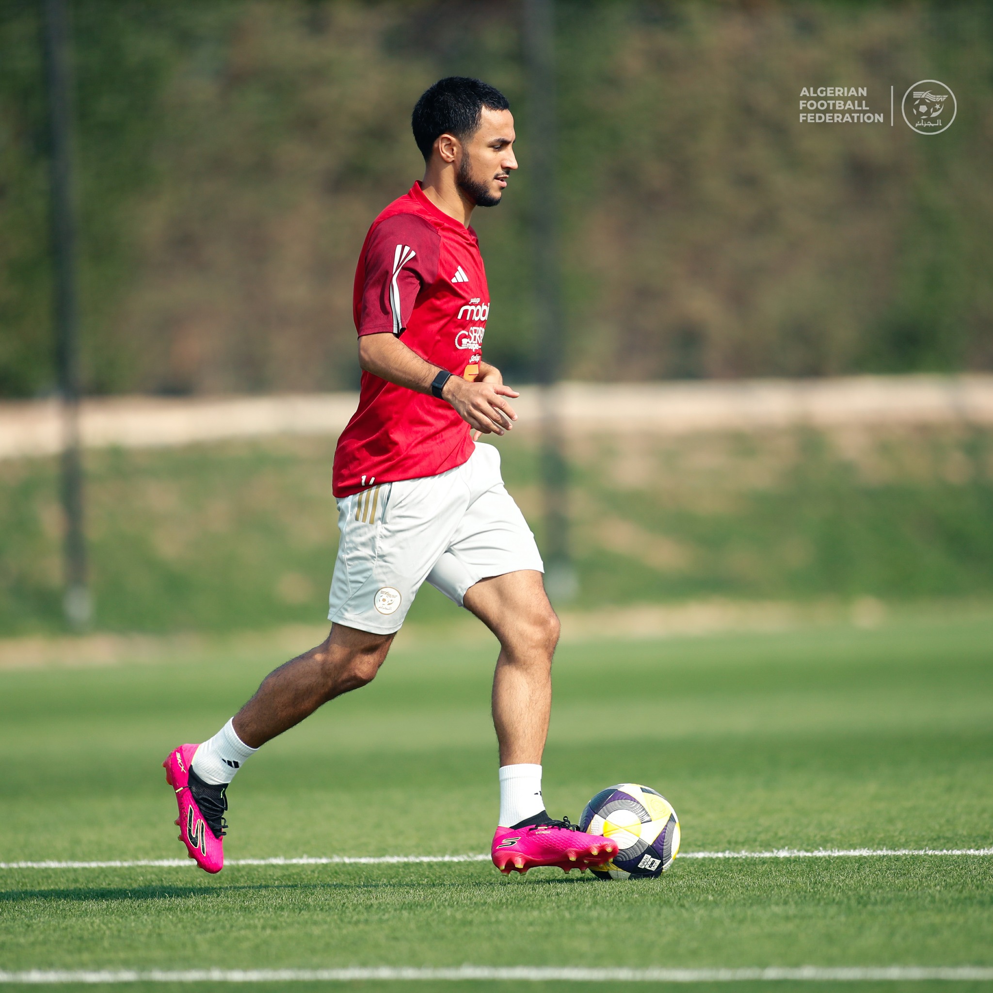 595442095 122179526492484363 8881037994591635910 n