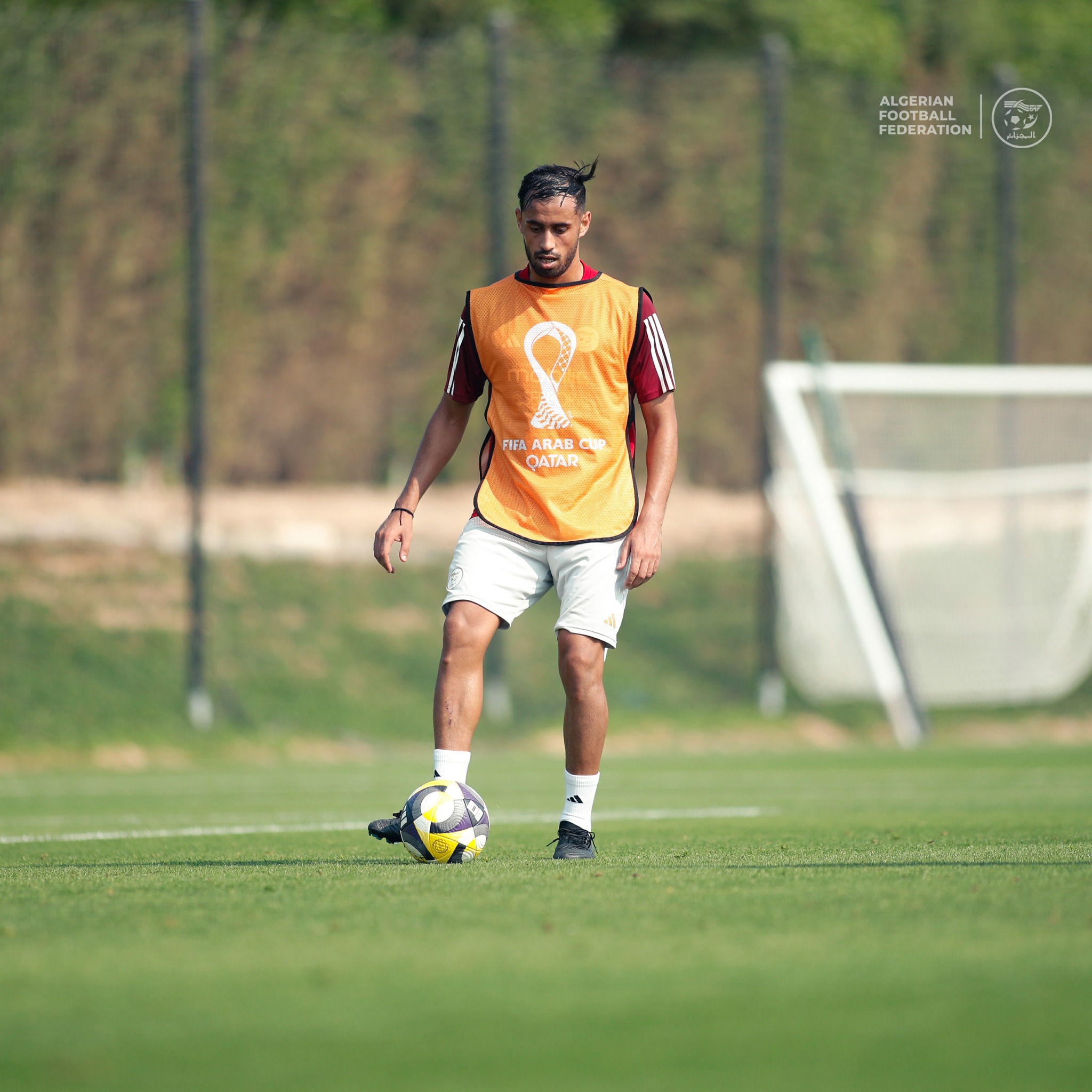 595639688 122179526498484363 1484427266942524863 n