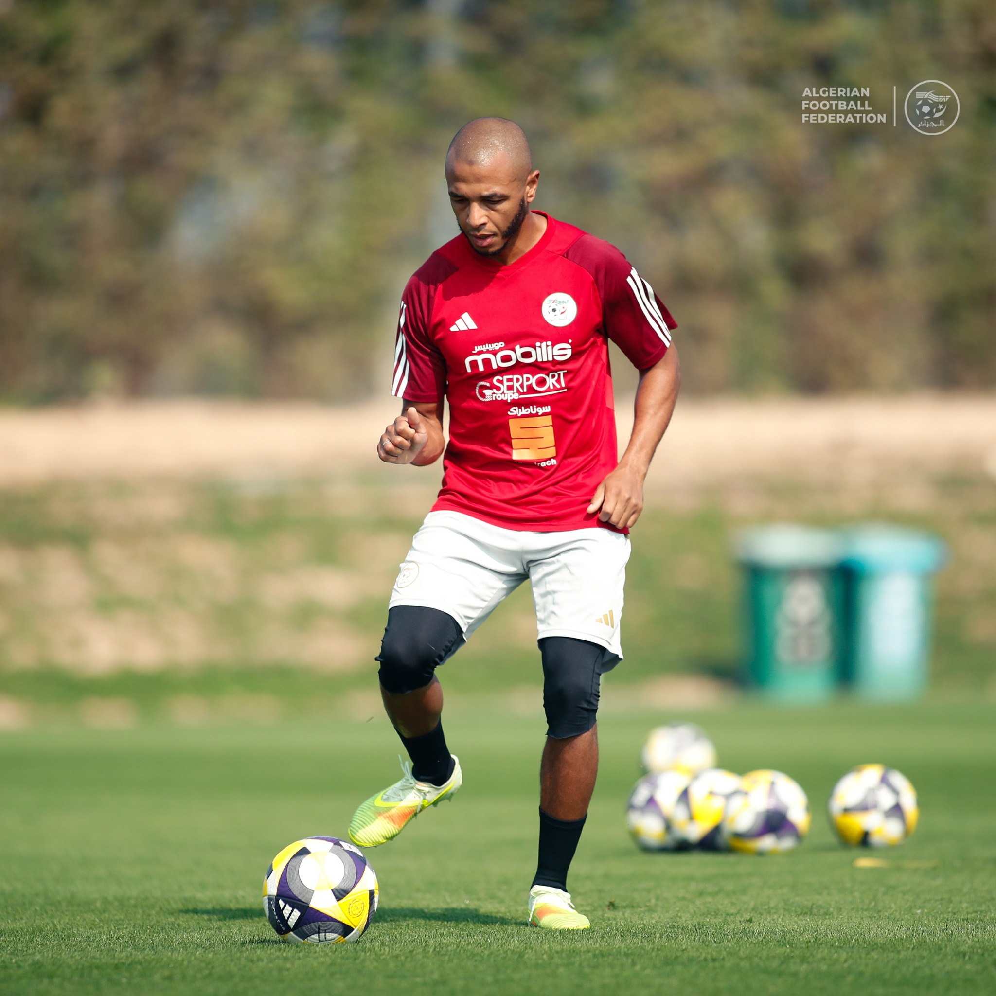 595940877 122179526510484363 5541662140227238735 n