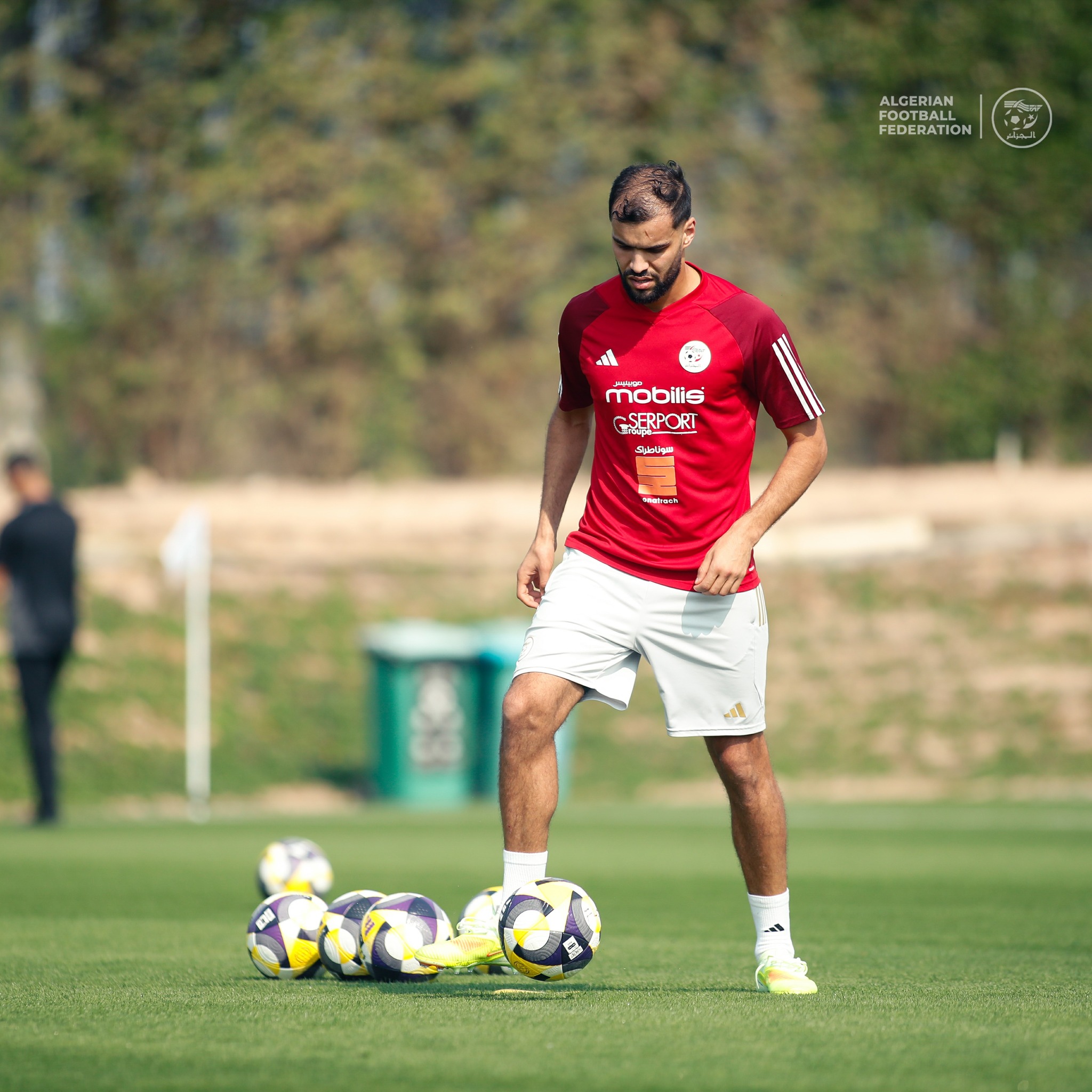 596486745 122179526504484363 6097775897184515840 n