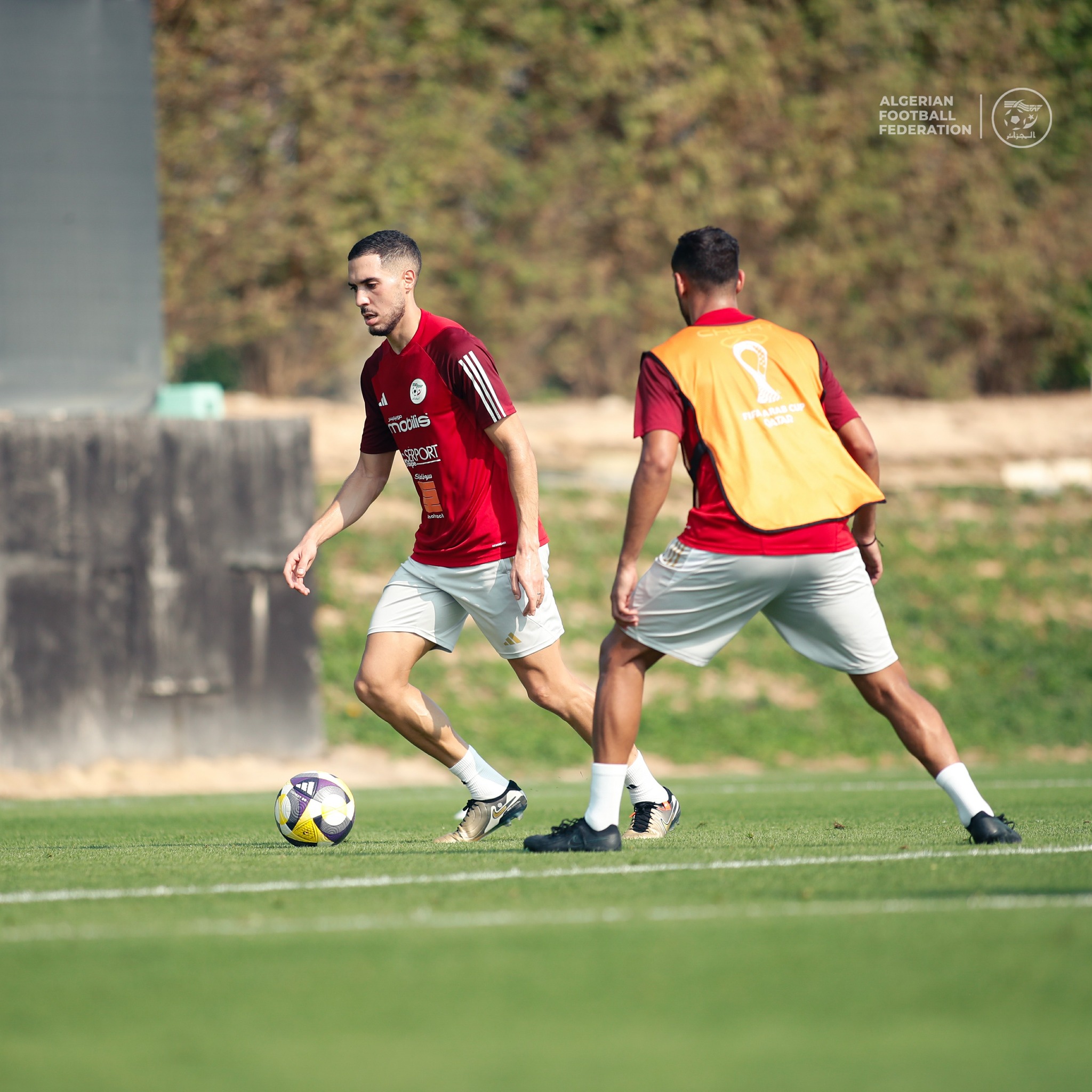 596807078 122179526534484363 4183195897221547668 n