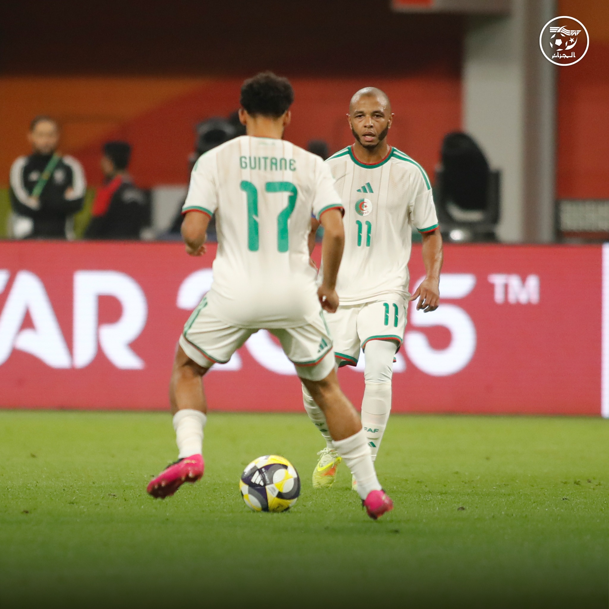 596981122 122179425098484363 5031062905257472577 n