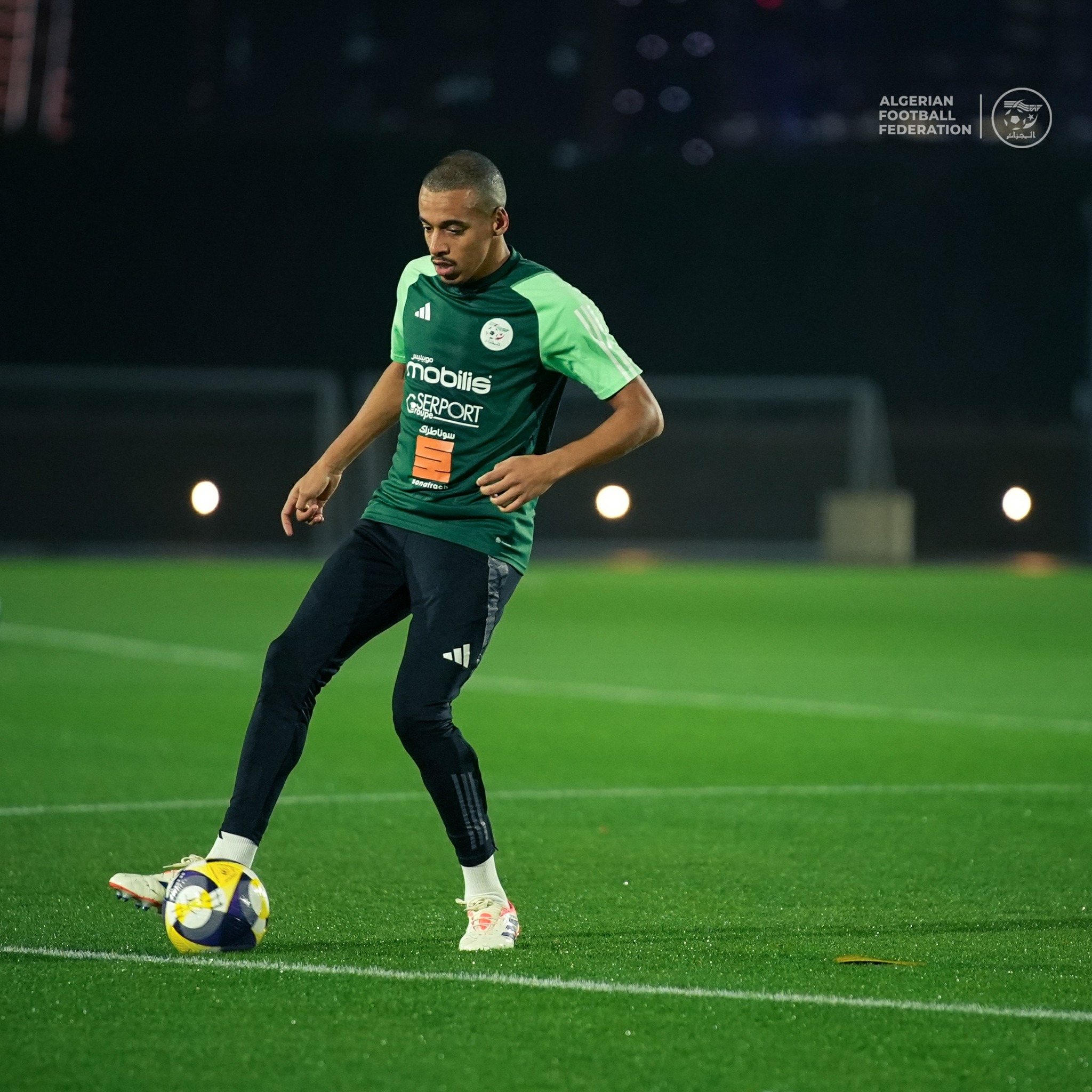 597634354 122179923638484363 4186420371333859932 n