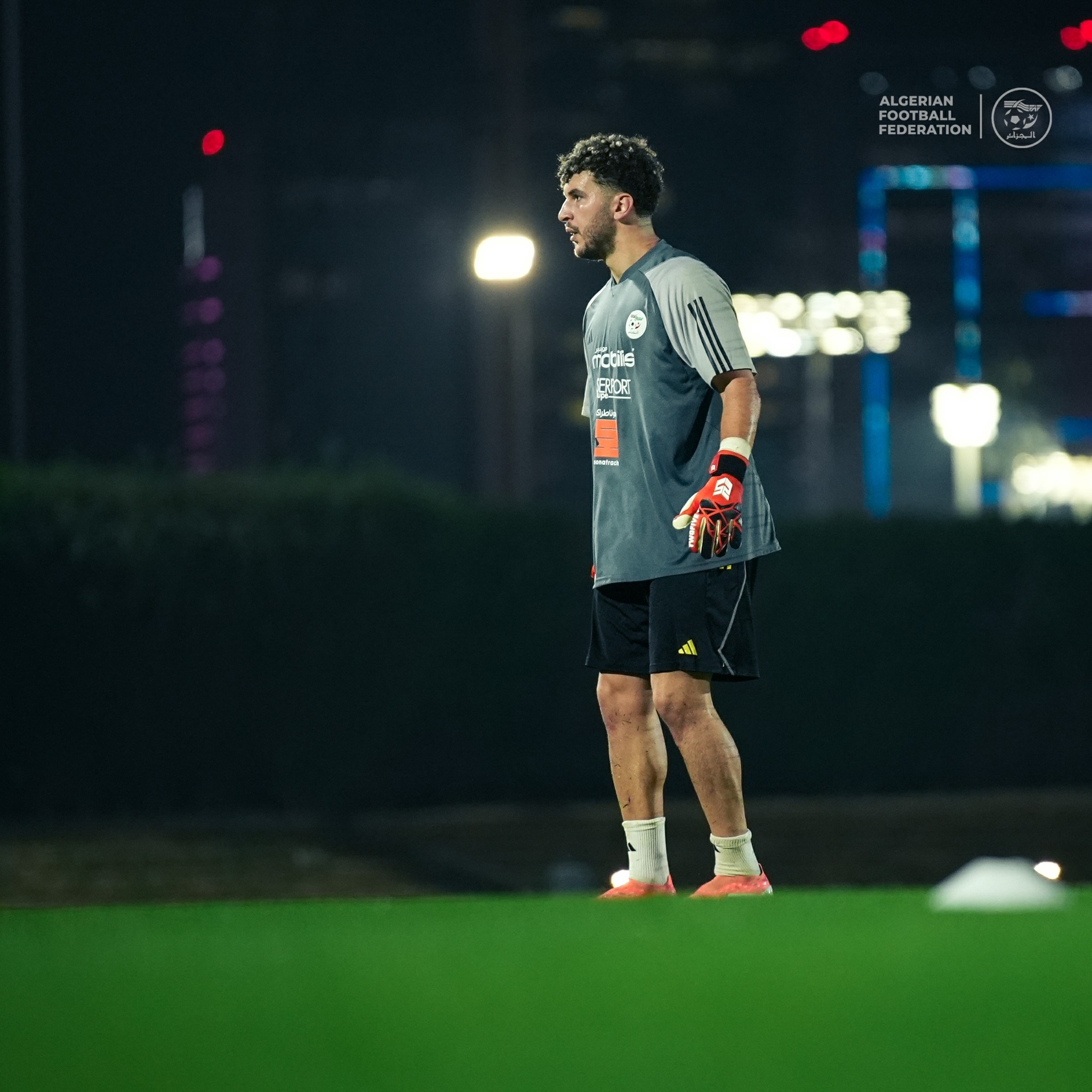 597819396 122179923752484363 1214488492126782744 n