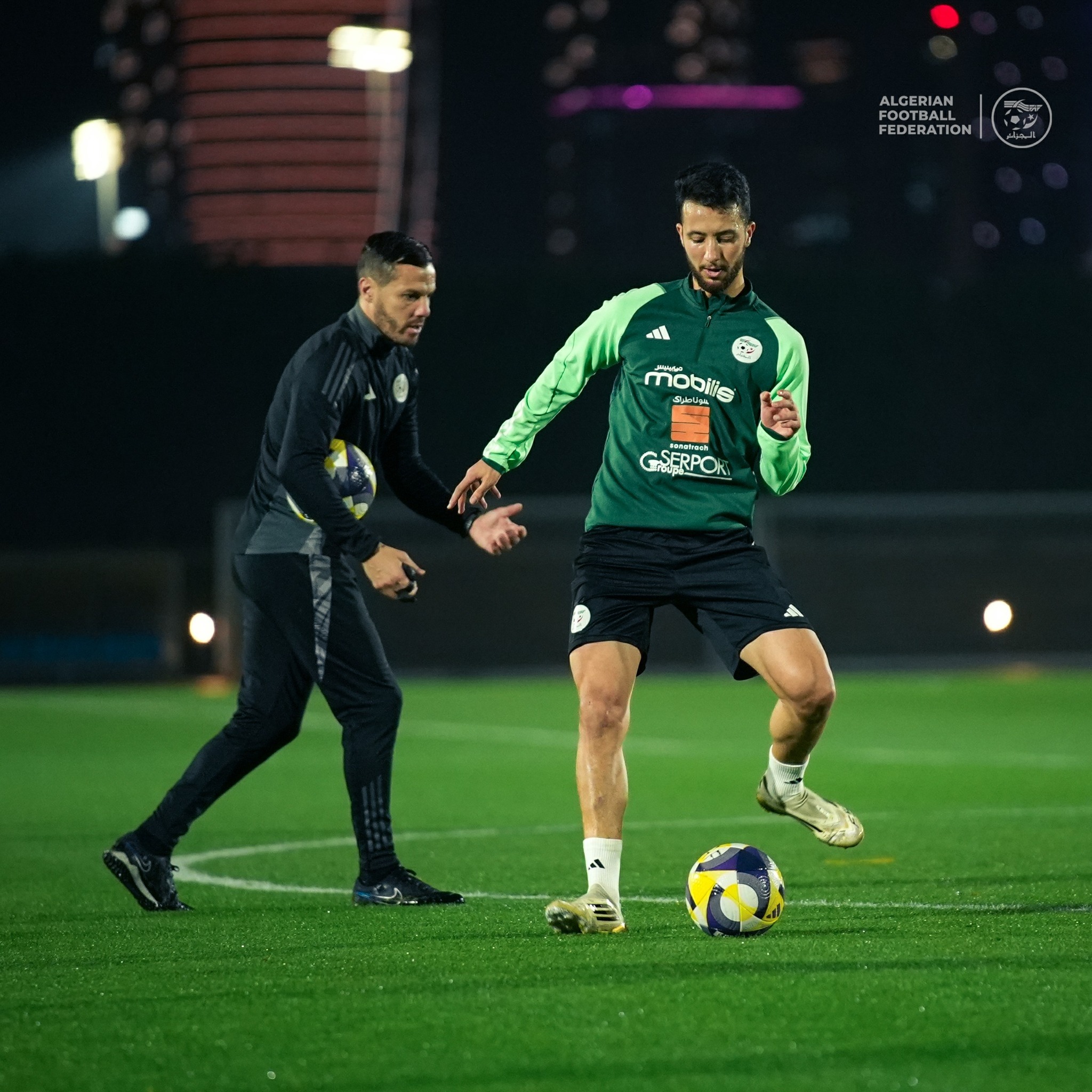 597898419 122179923716484363 6556721230790512300 n