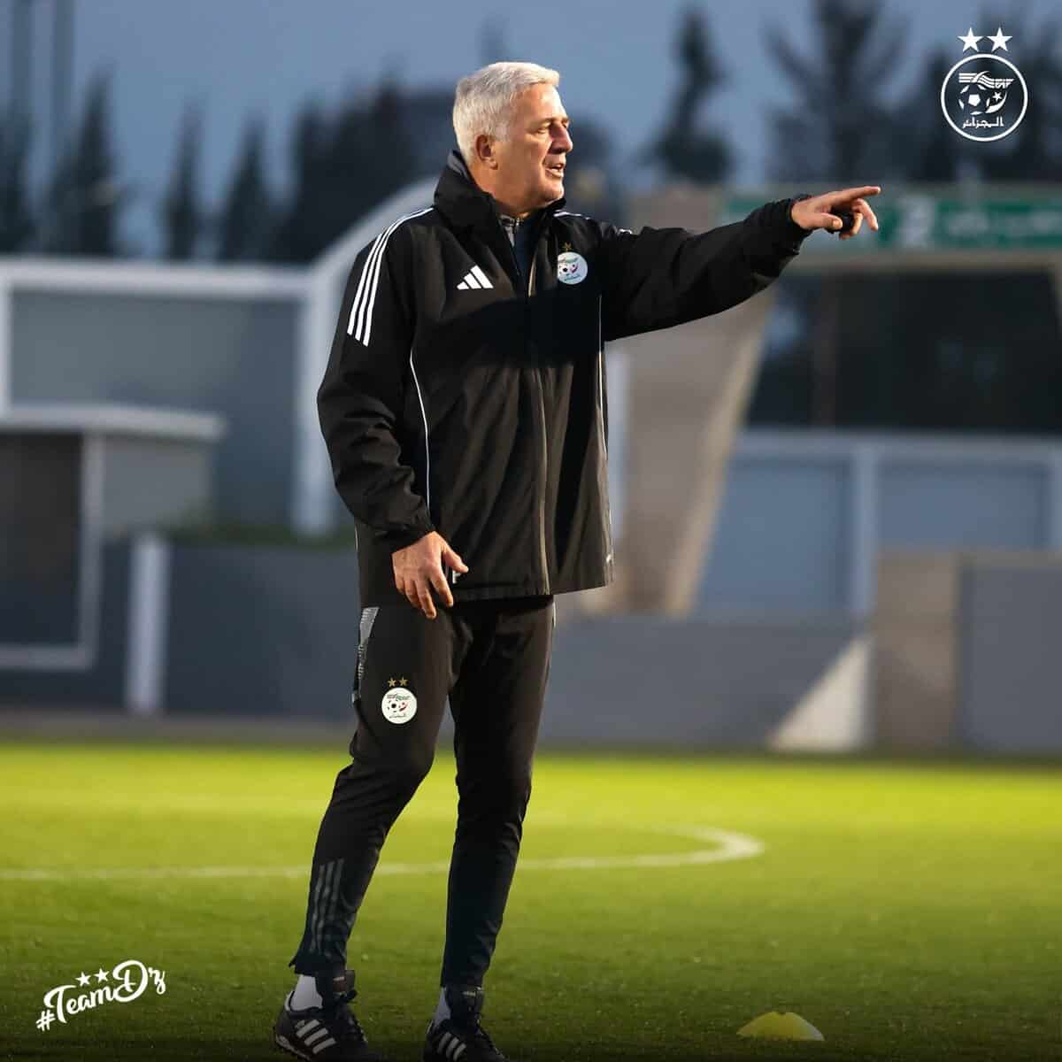 597915285 122180716958484363 3582344500463929828 n