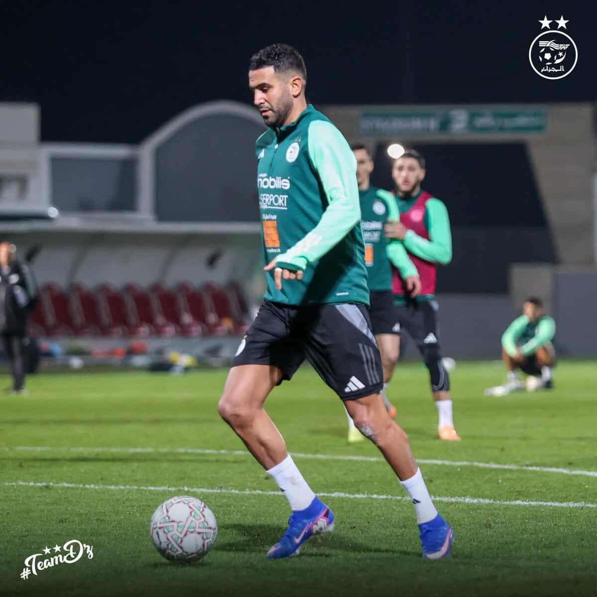 598830709 122180716802484363 2744505241471092487 n