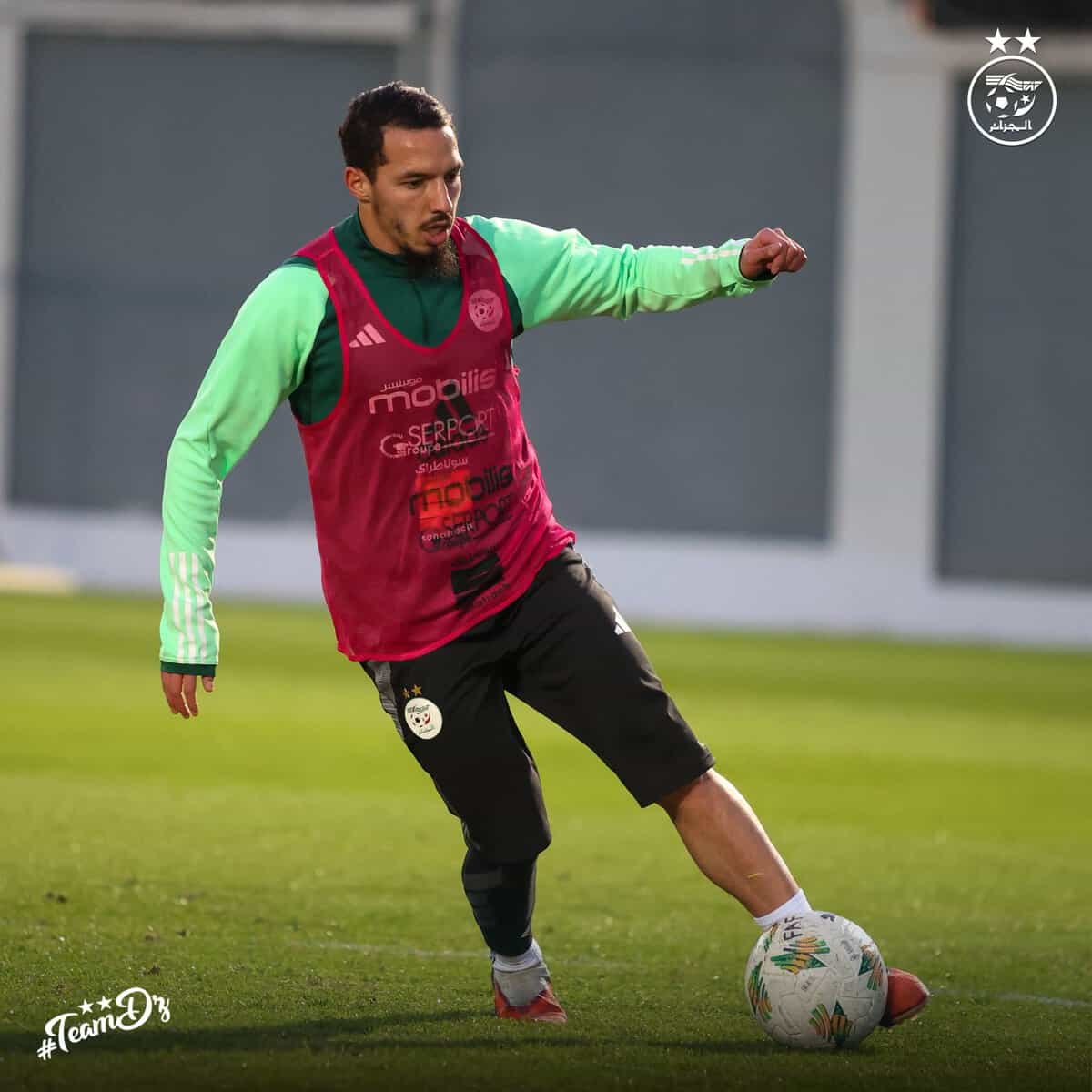 598838033 122180717108484363 233555354911790798 n