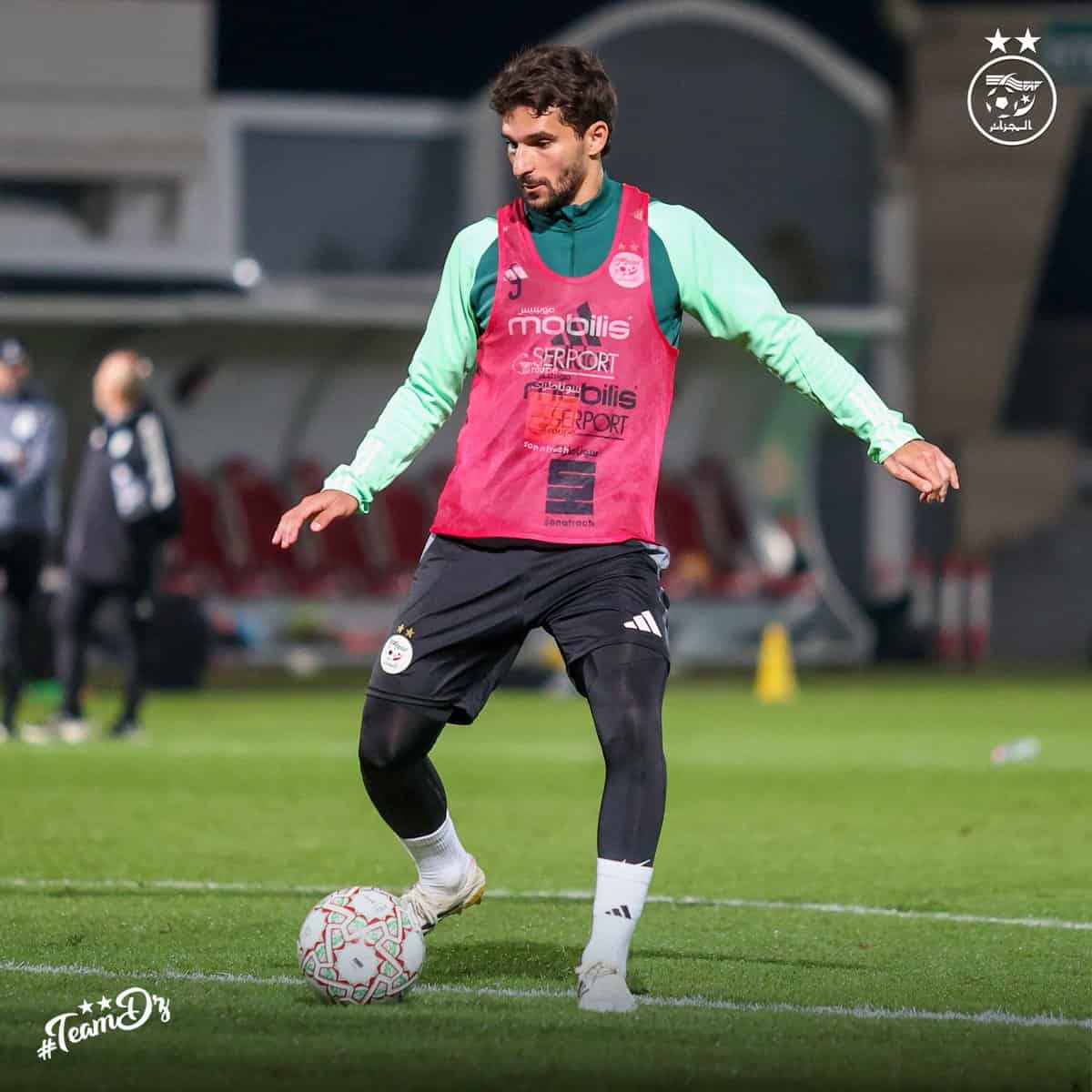 599940996 122180716844484363 6411535512633425152 n